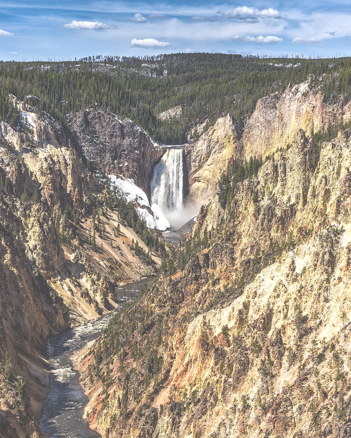 Lower Yellowstone Falls