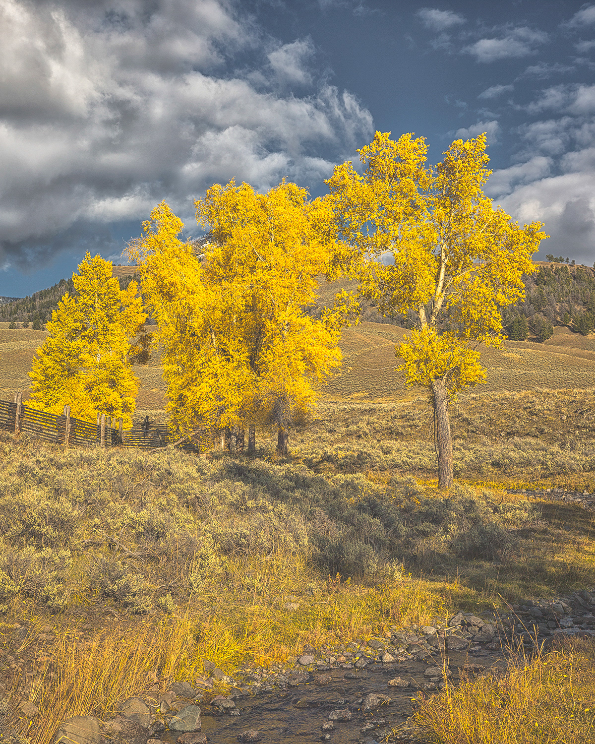 Autumn in Lamar Valley
