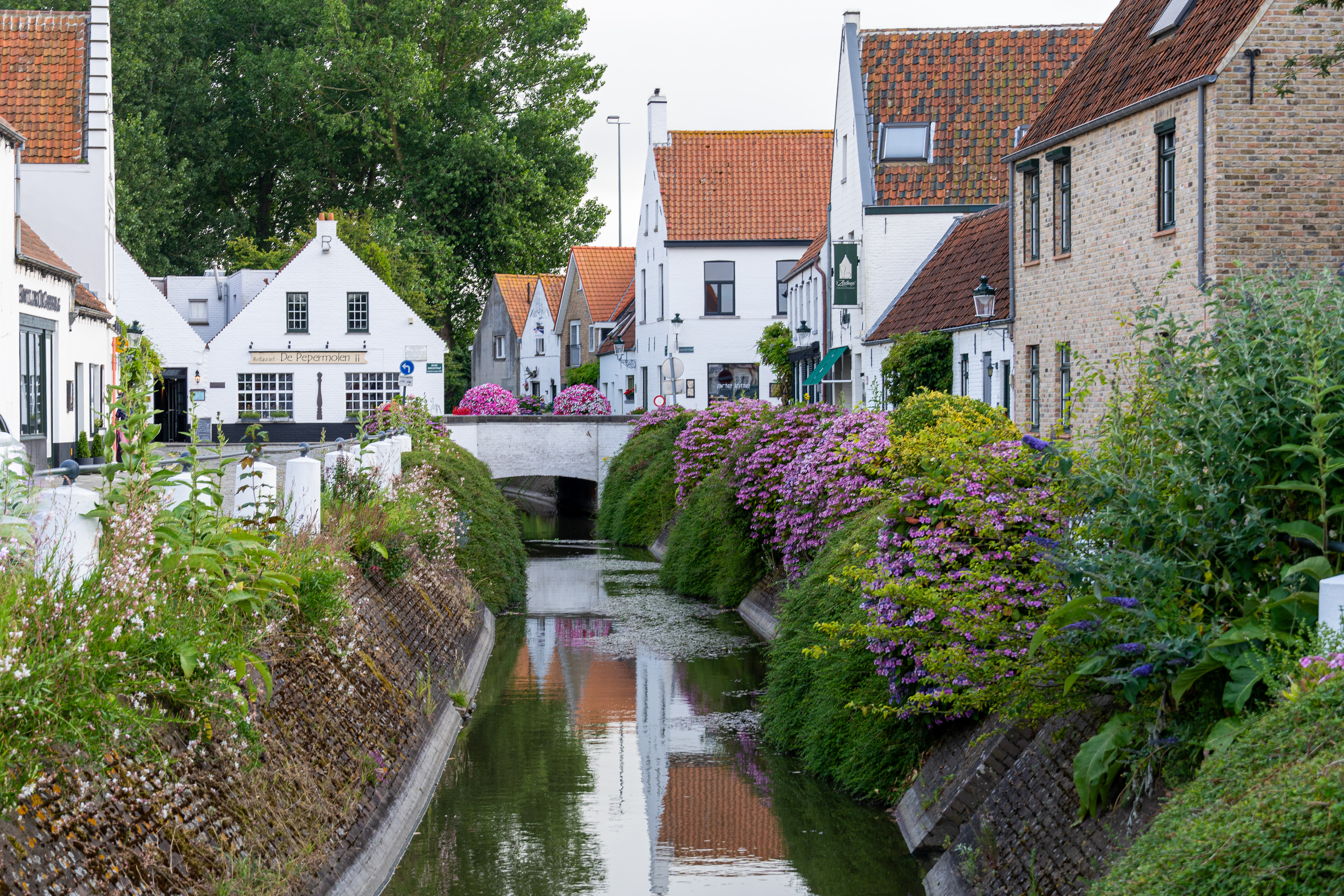 Lissewege