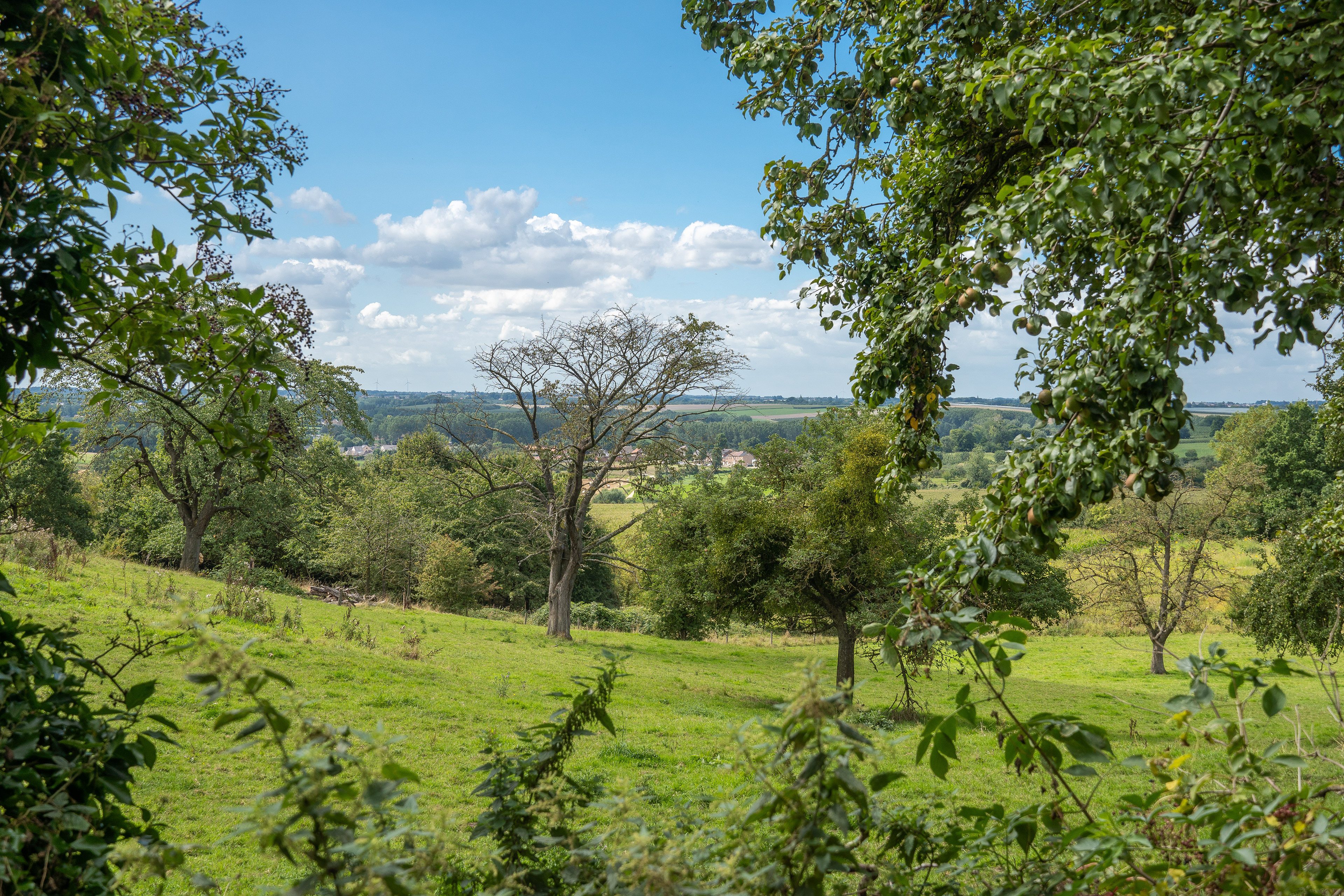 Verzicht op de omgeving van Borgloon