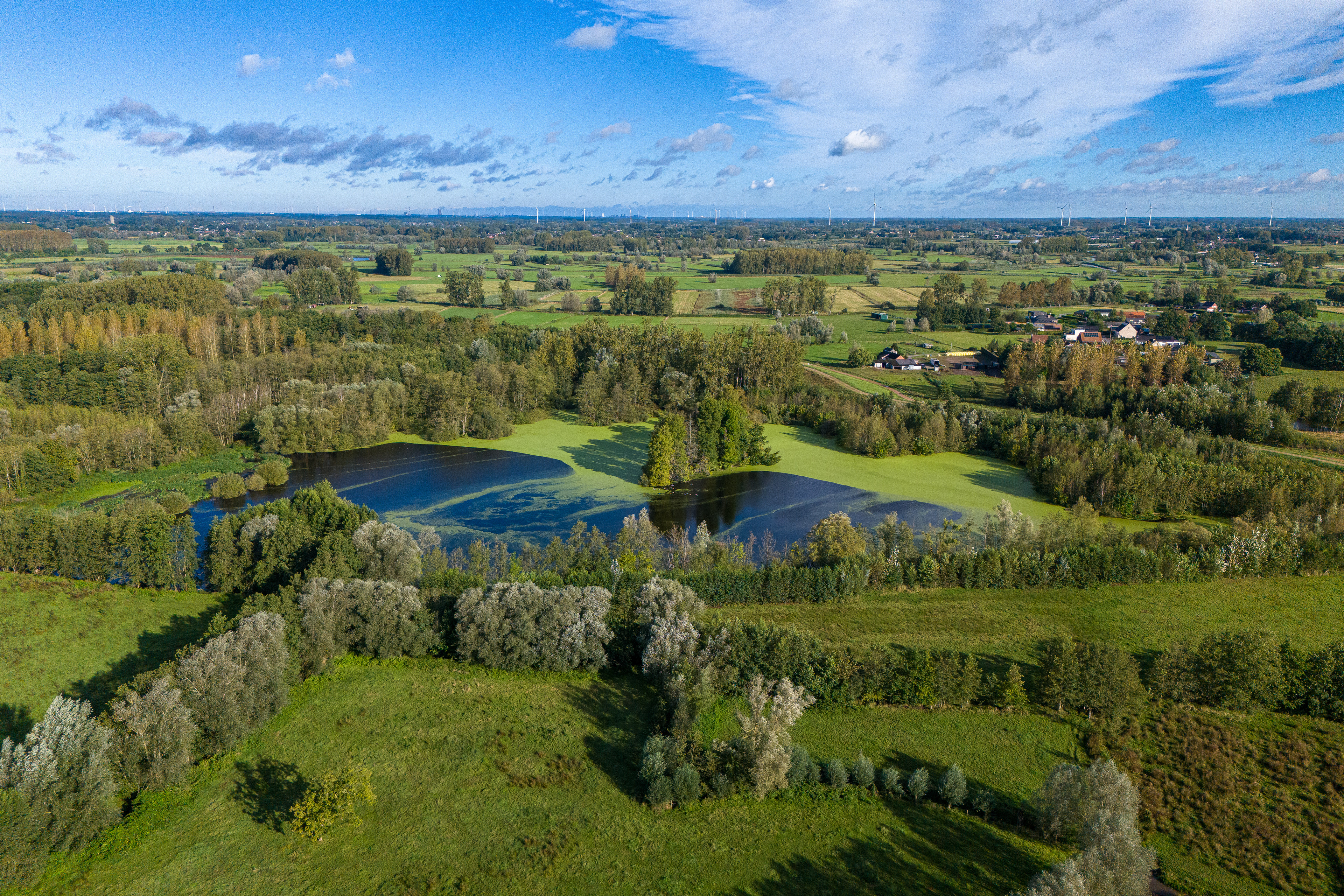 Wijmeers (Uitbergen)