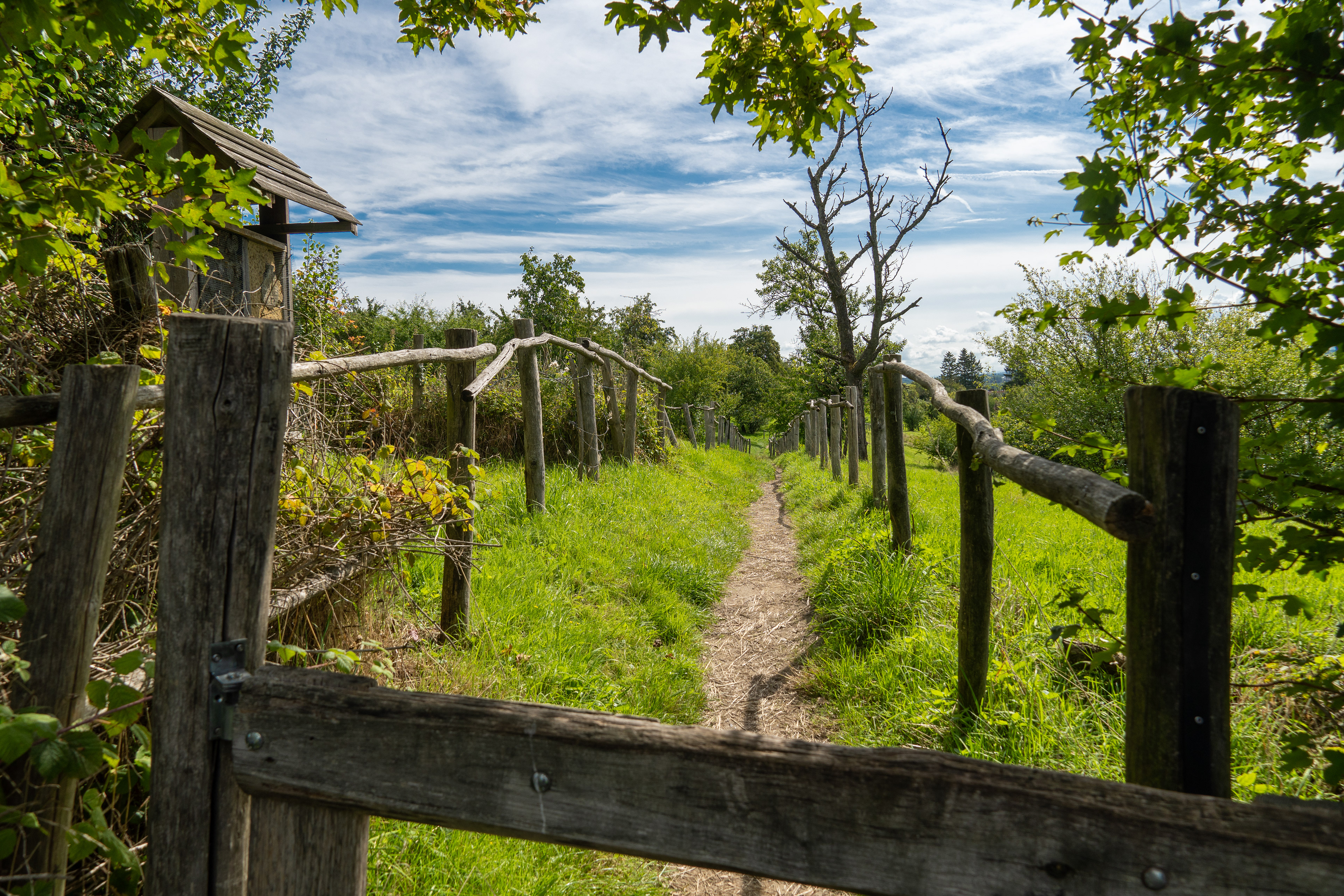Wandelweg Borgloon