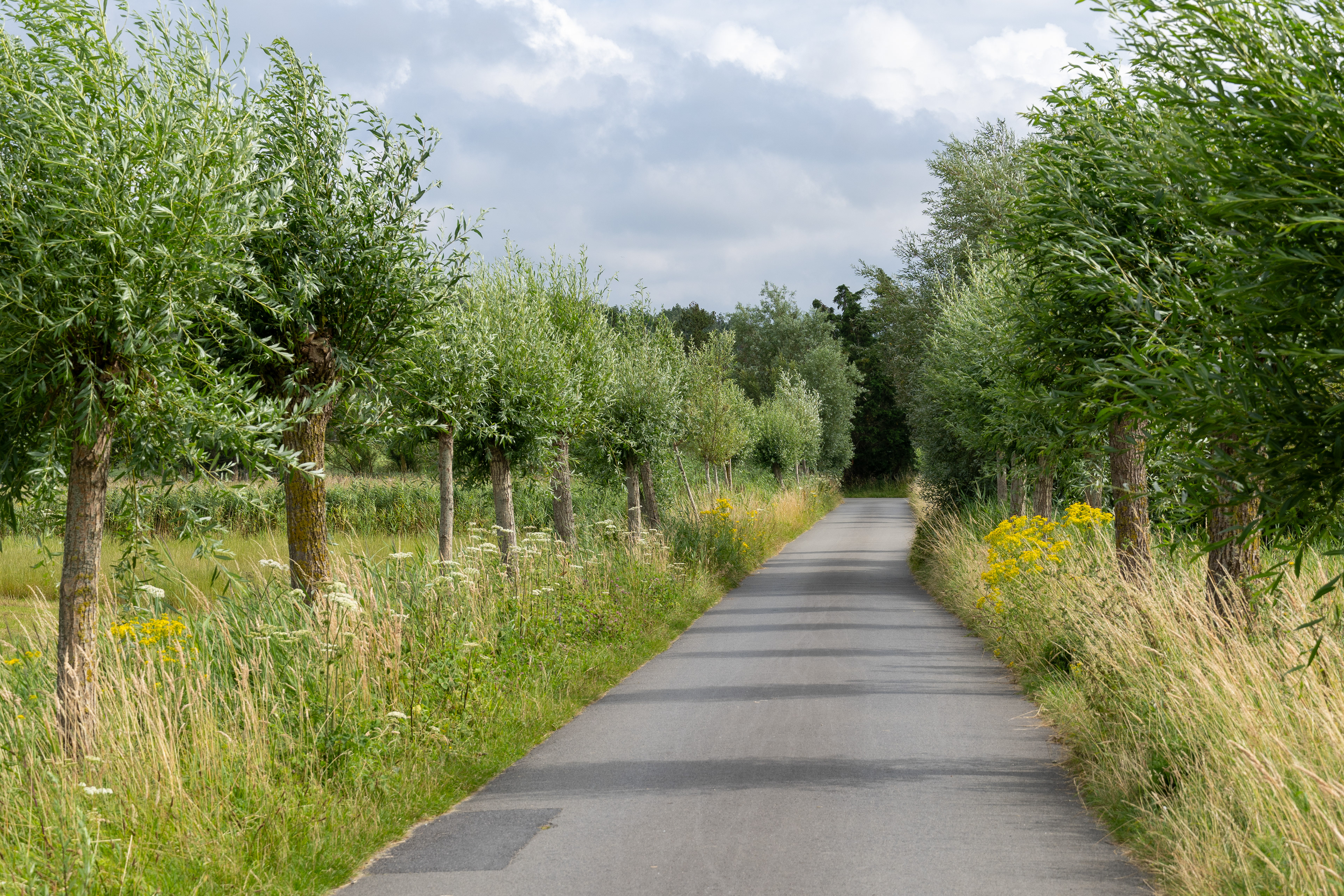 Wandelweg