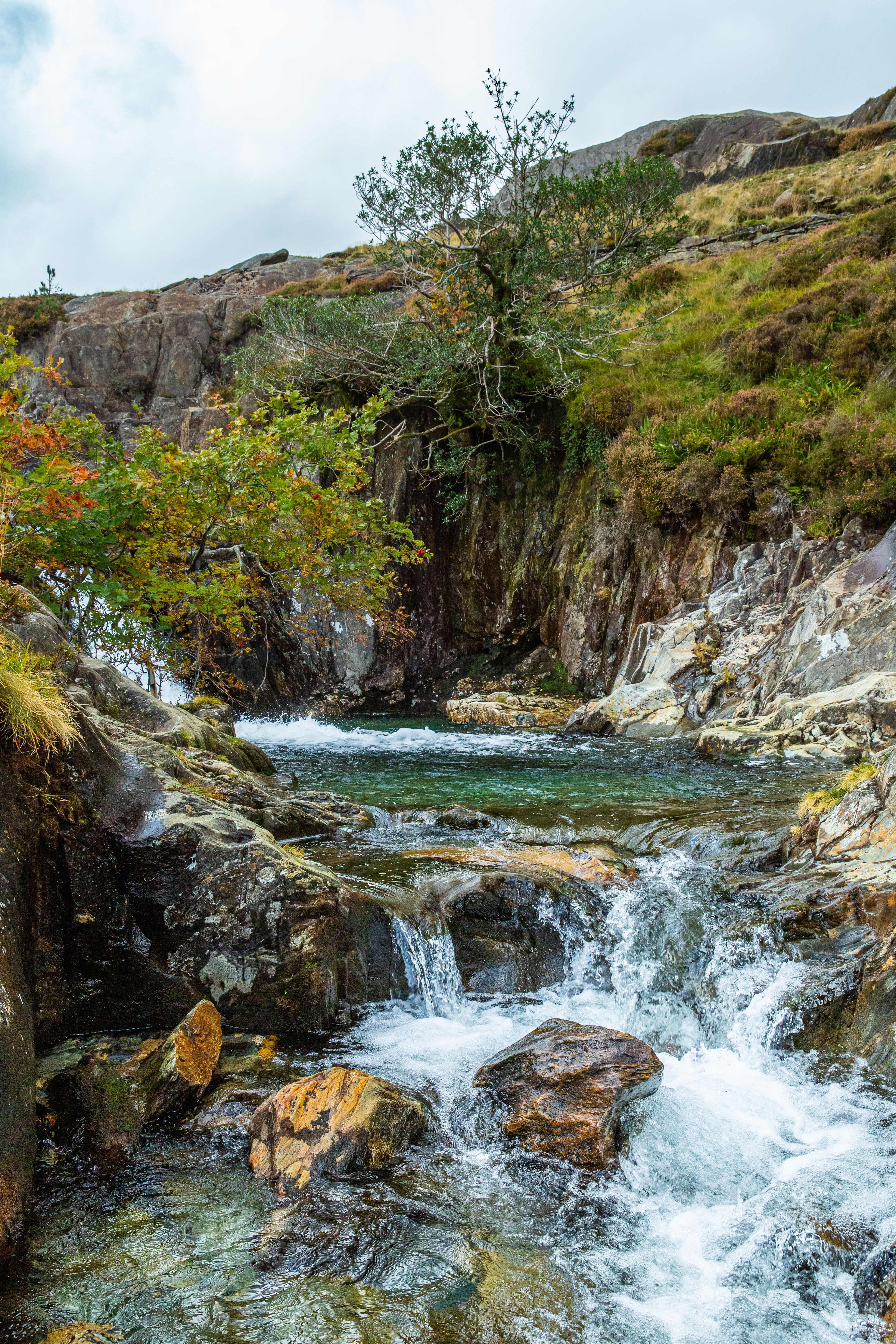 Wakin Pools Snowdon
