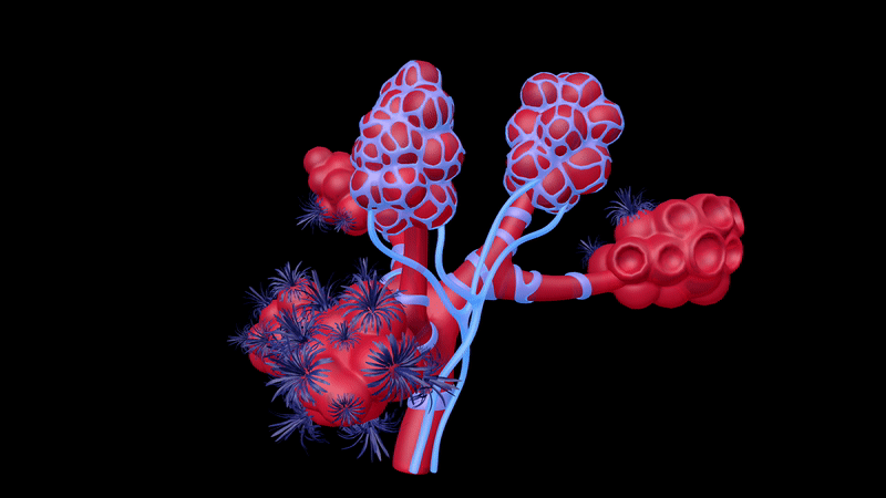 Breathing Lungworts
