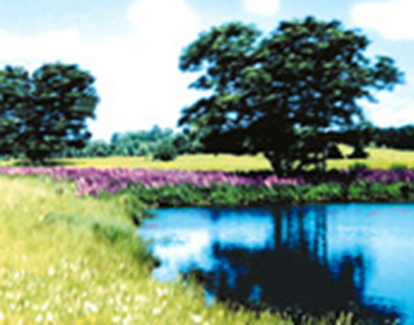 Lupine Pond; framed 23"x18"