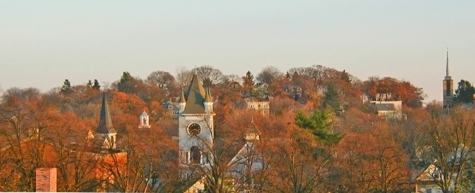 Roslindale Foliage; unframed 17"x6"