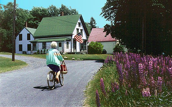Bike Ride on Cranberry Island; framed 38"x30"
