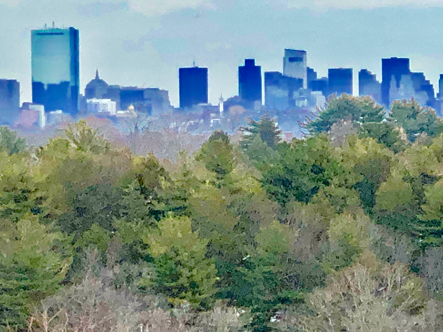 Downtown from Arboretum