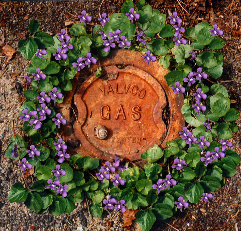 Gas Cap & Violets; canvas 8.5"x8.5"