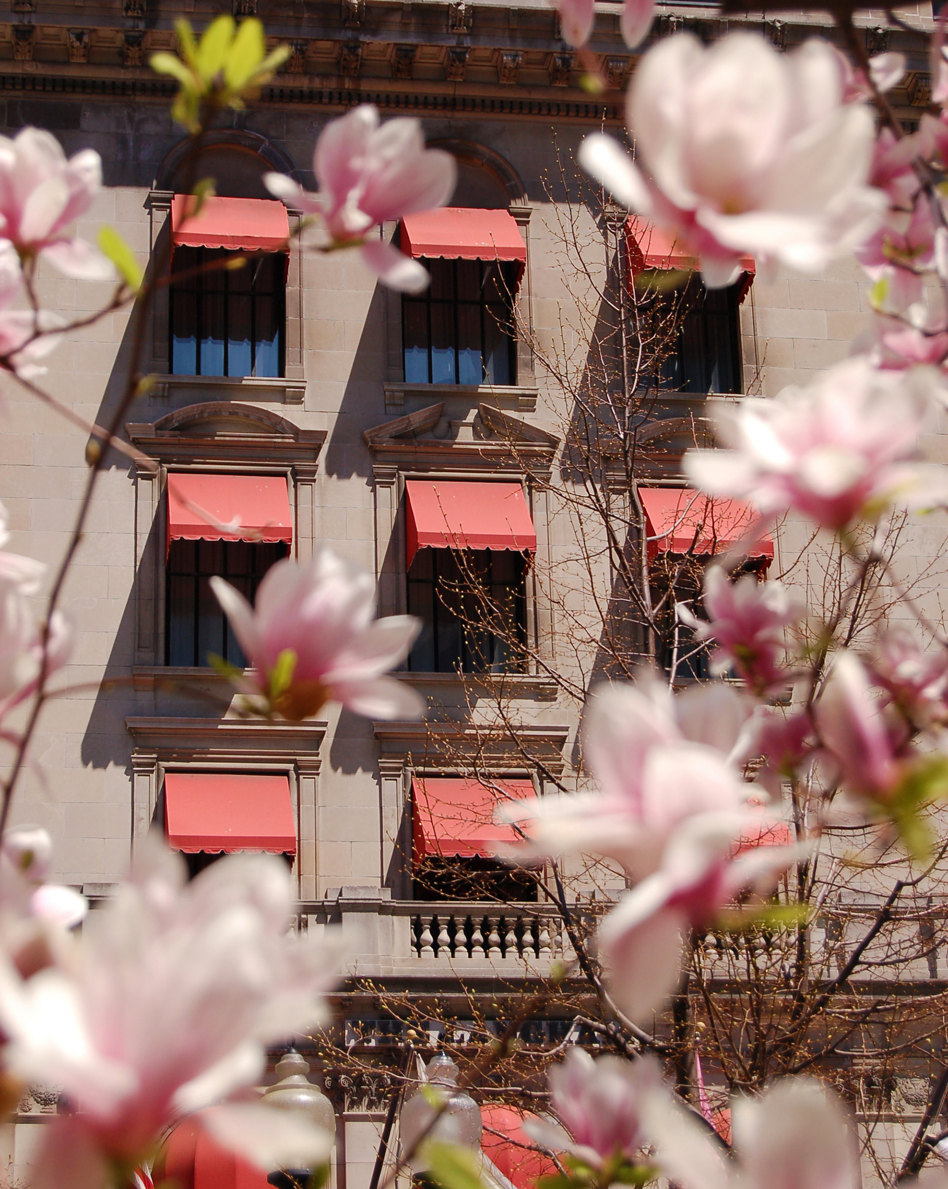 Red Awnings 2; framed, 24"20"