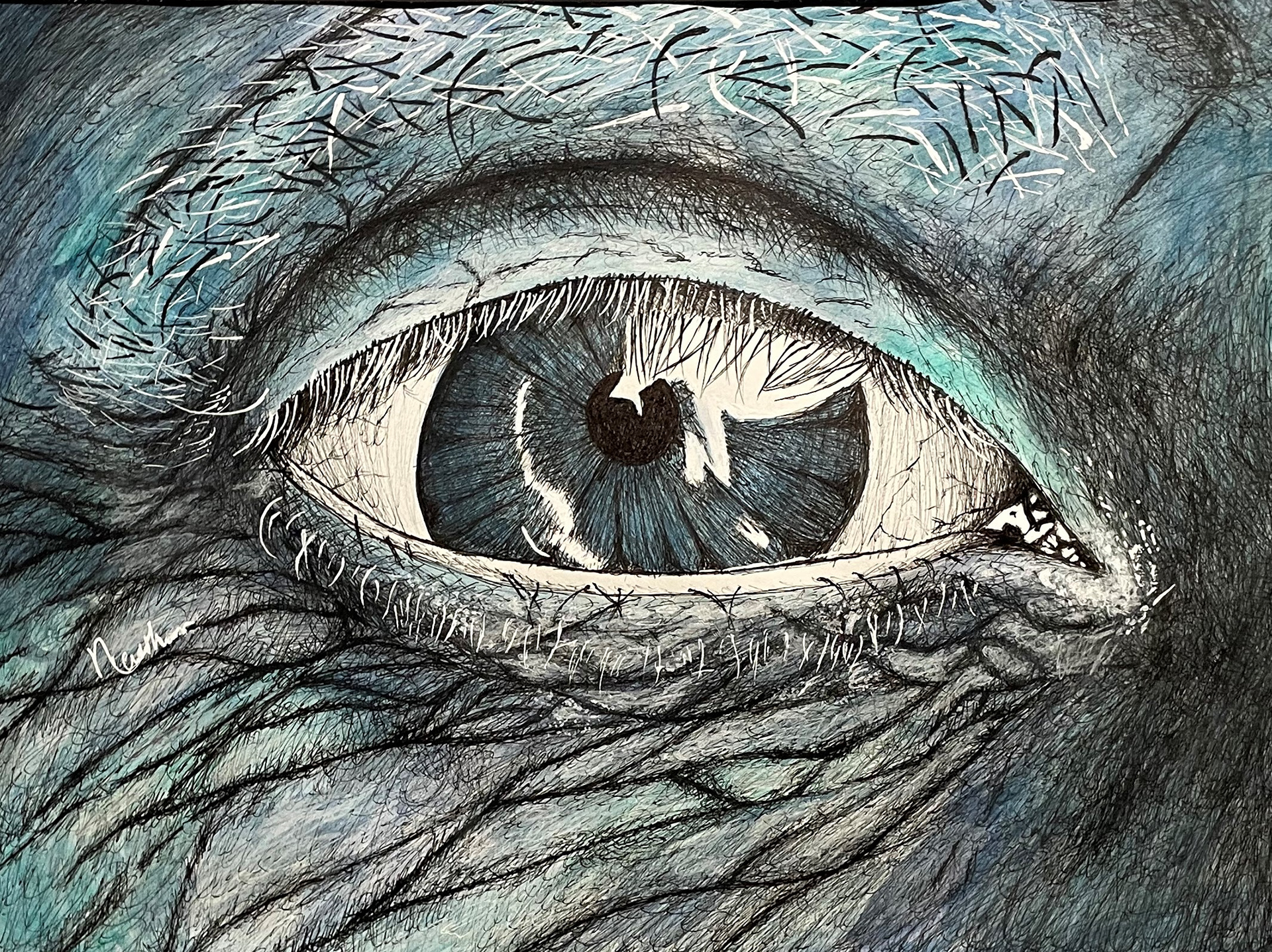 Wisdom, Mixed Media by Nethan Cauthon (Central Plains High School)