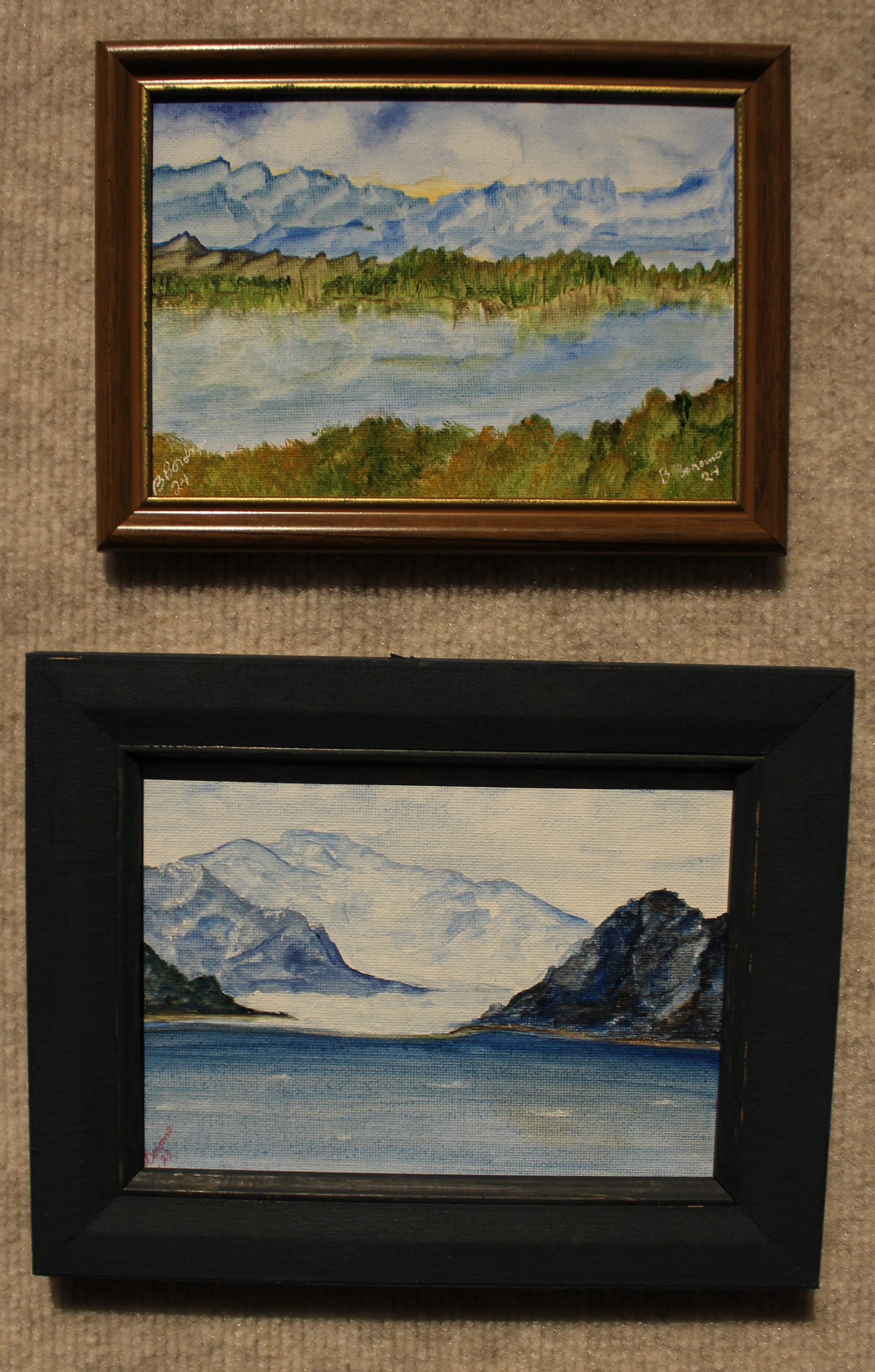 Alaska and Glacier Bay by Billie Bonomo