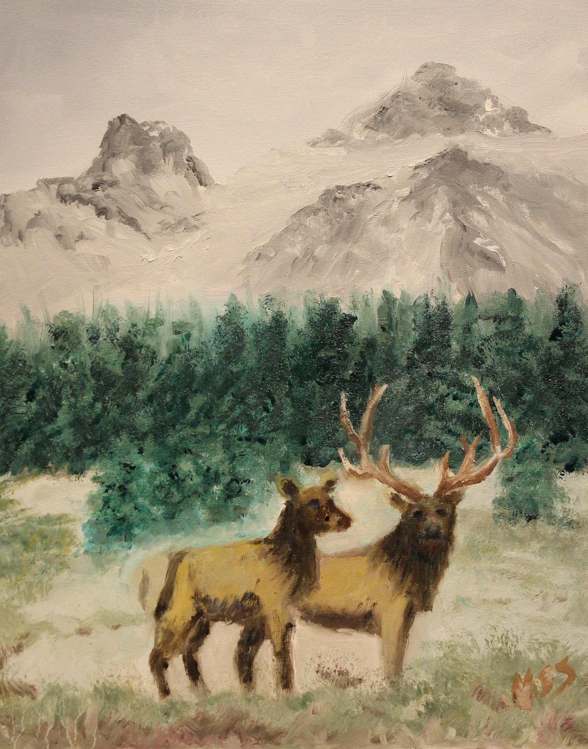 Elk Country by Mary Ellen Schinstock