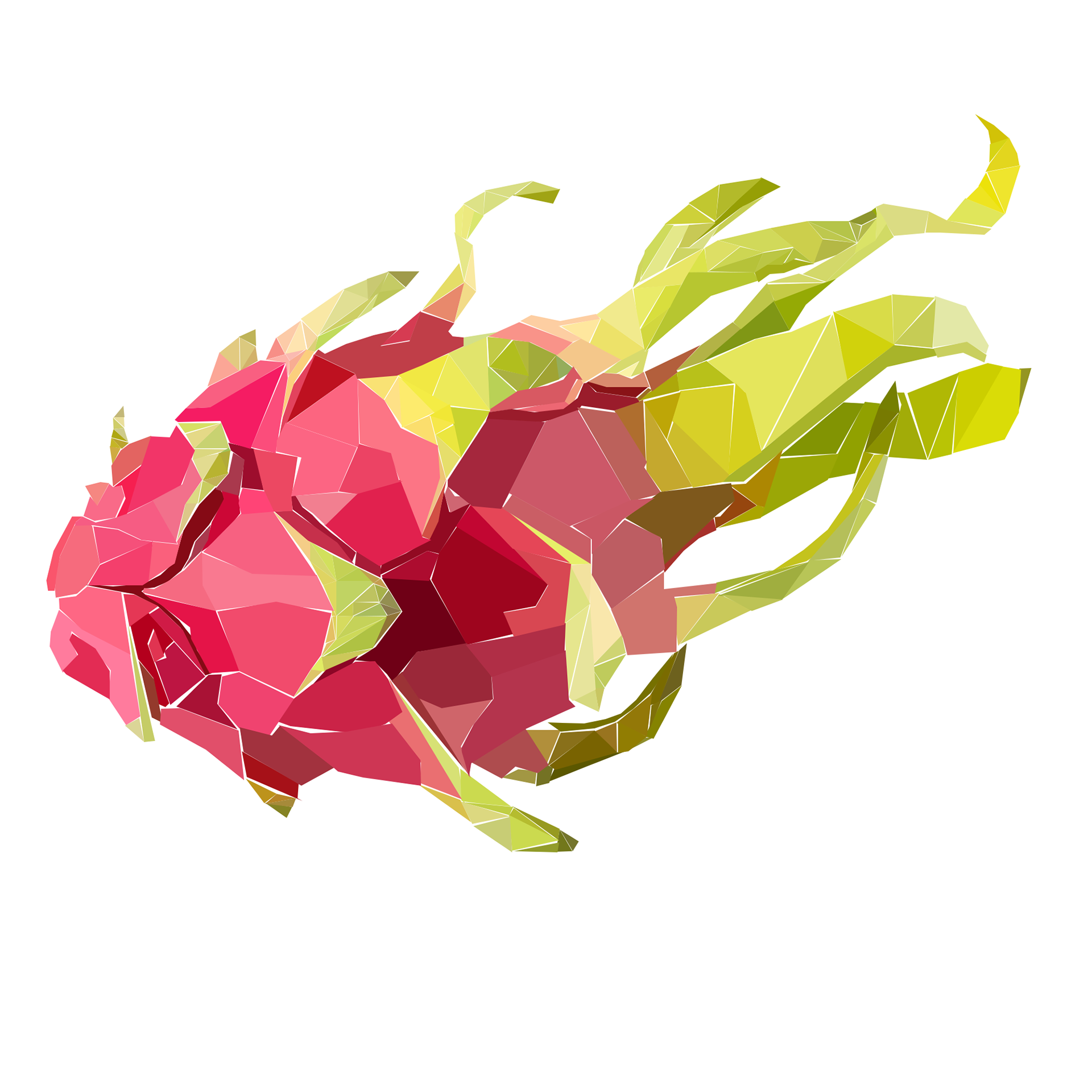Dragon Fruit by Sarah Manry