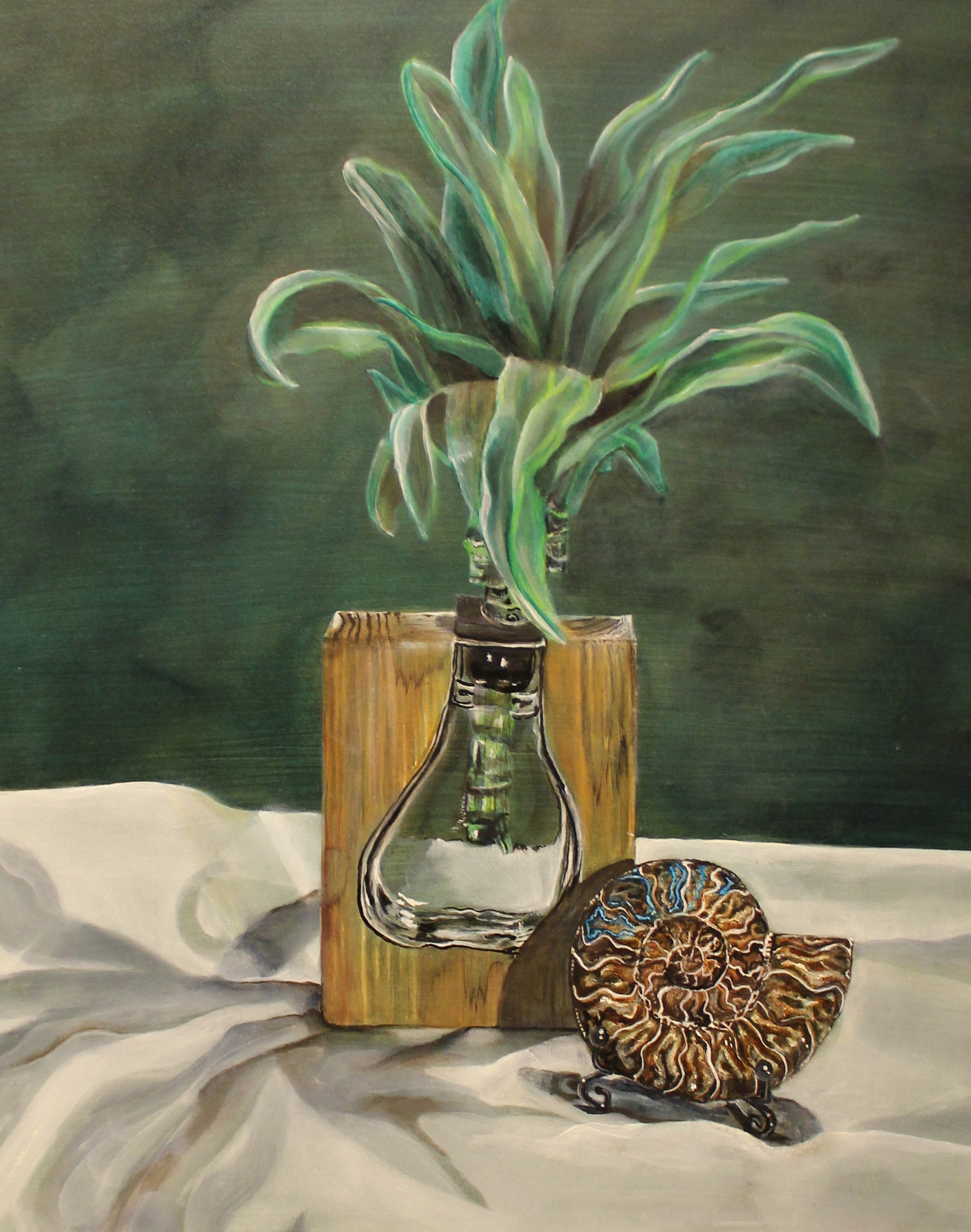 Dracaena with Ammonite Fossle by Tracy Miller