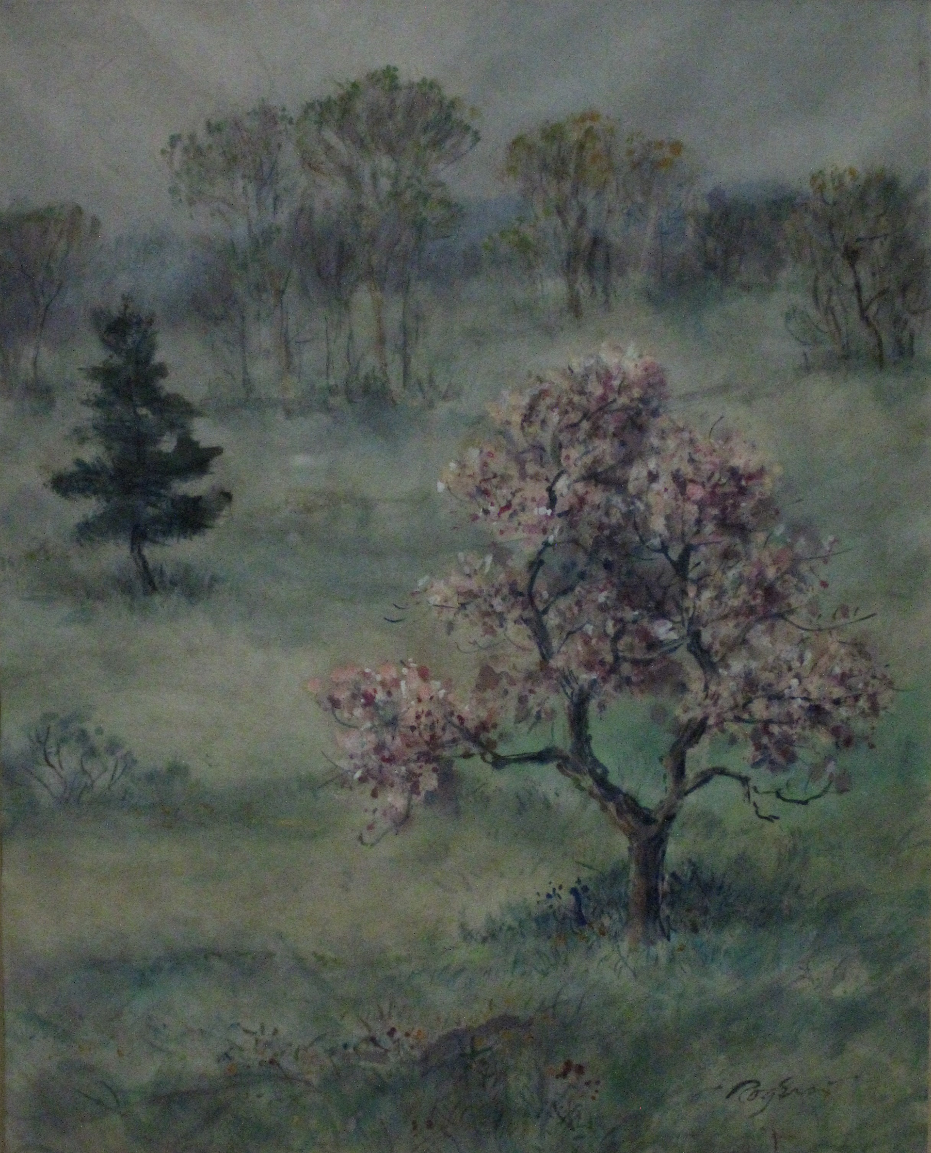 Jewel of the Field by Charles B. Rogers
