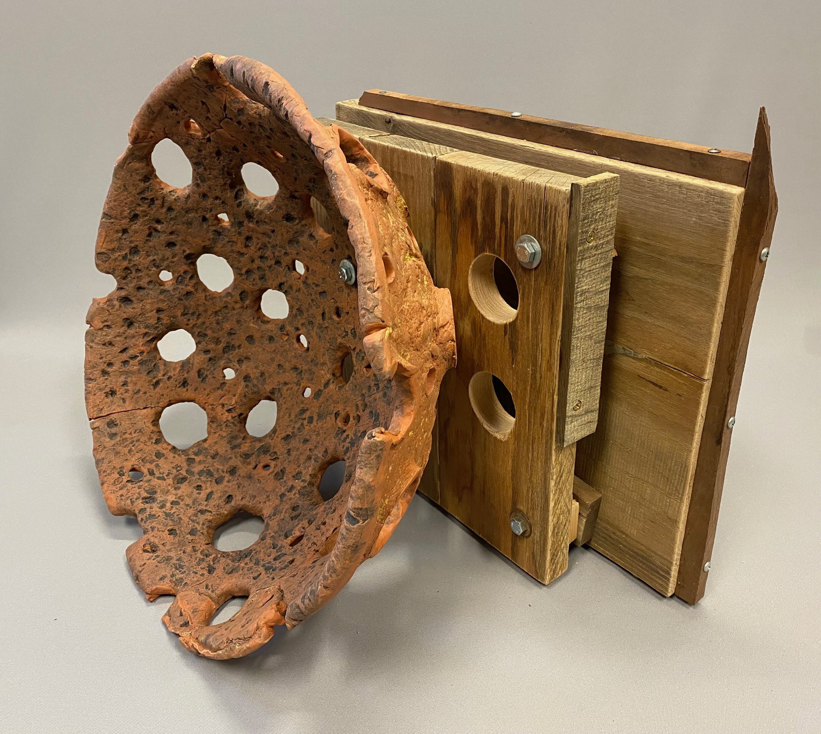 Parabolic Praire Reciever by Ron Micheal