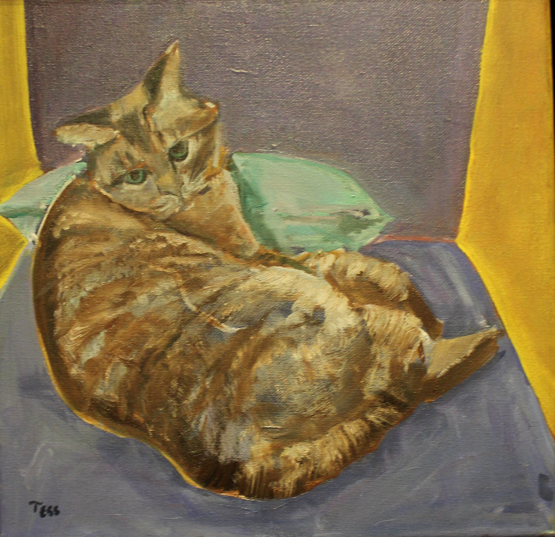 Cat by Tess Dunkle-McKnight