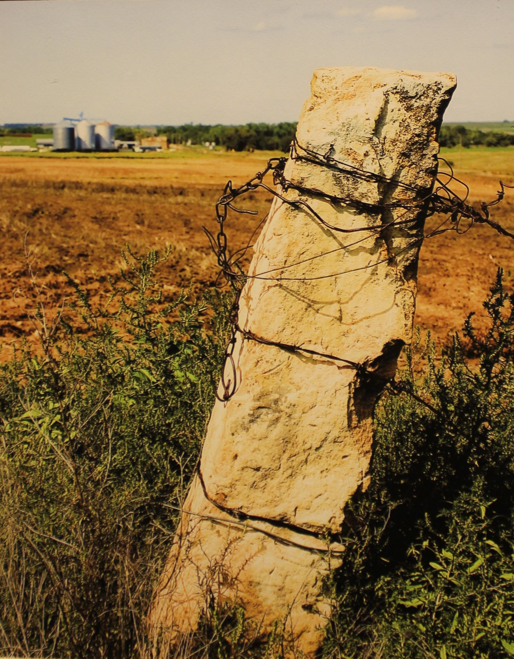 Corner Post by Debbie Jones