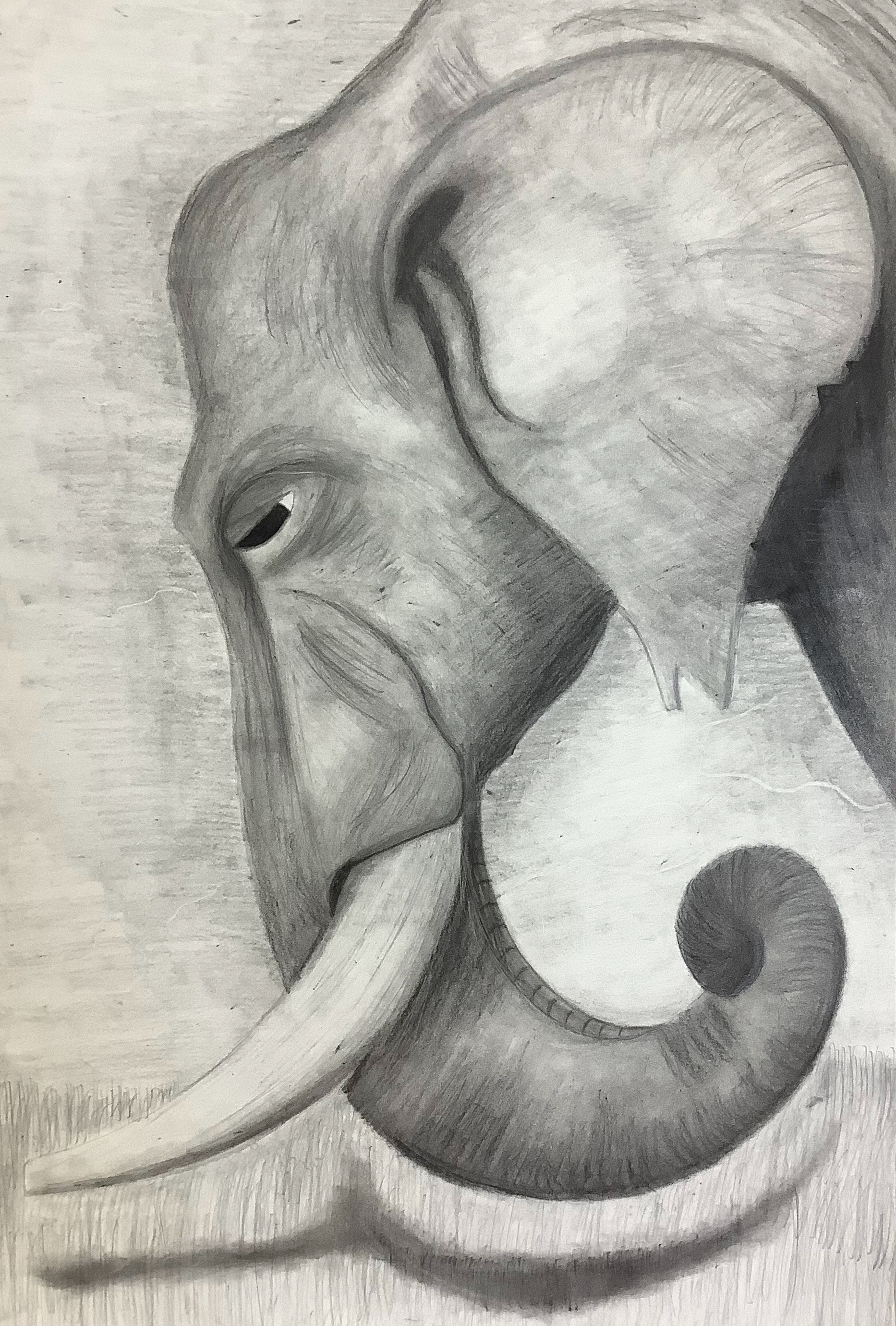 African Trunk by Shyria Quintana