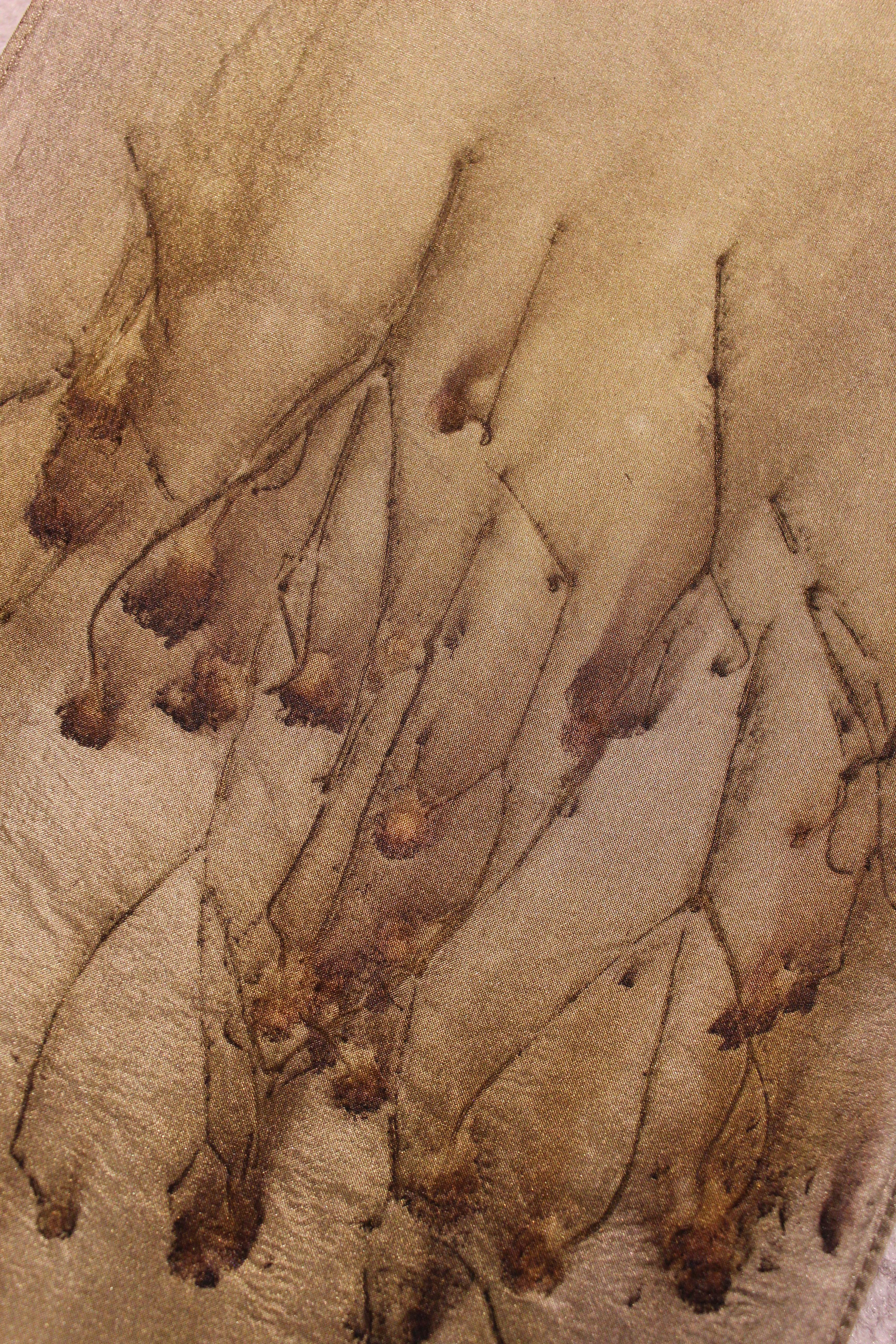 Cascade by Pam Martin (Detail)