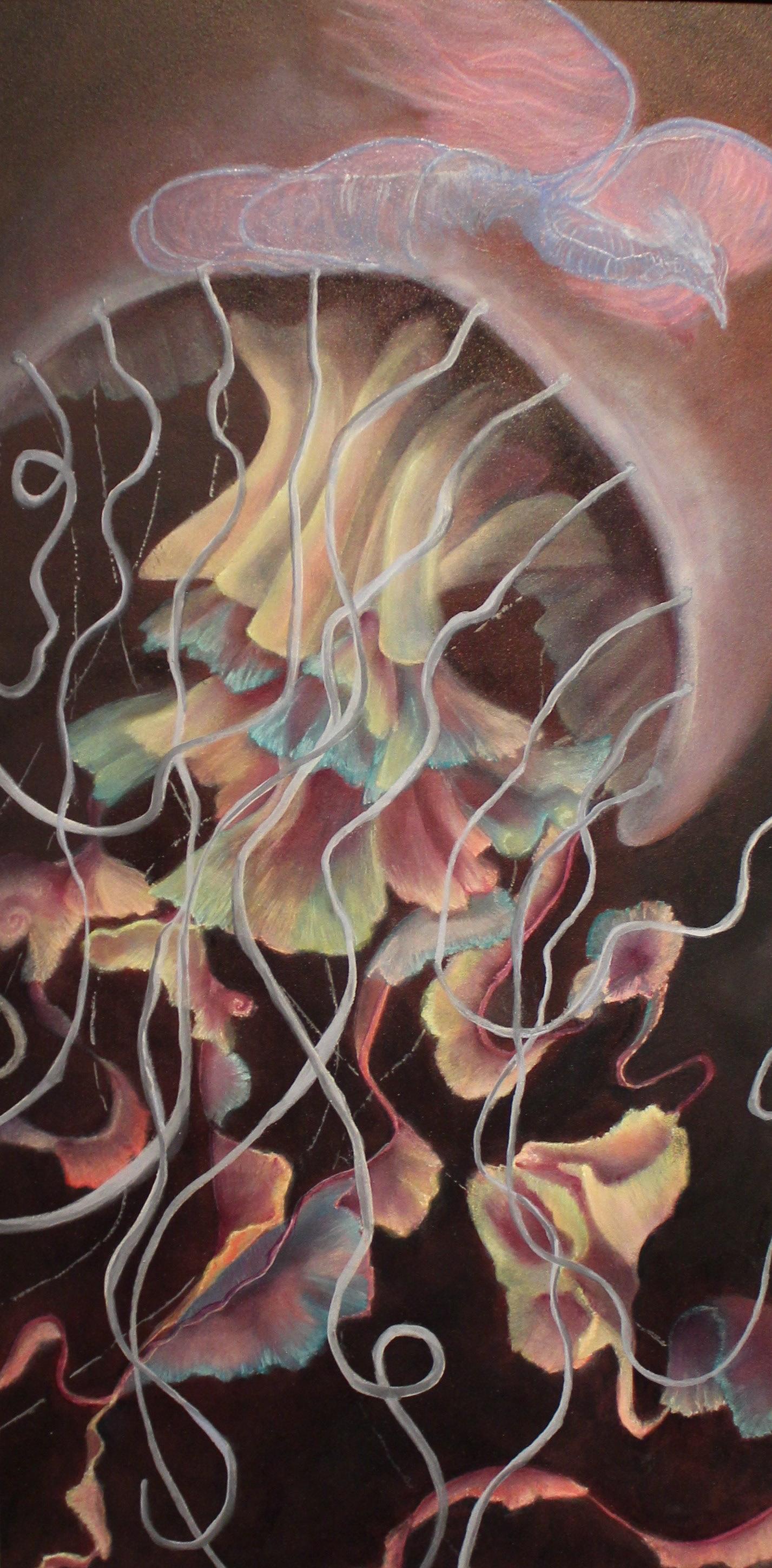 Man O War by Tracy Miller