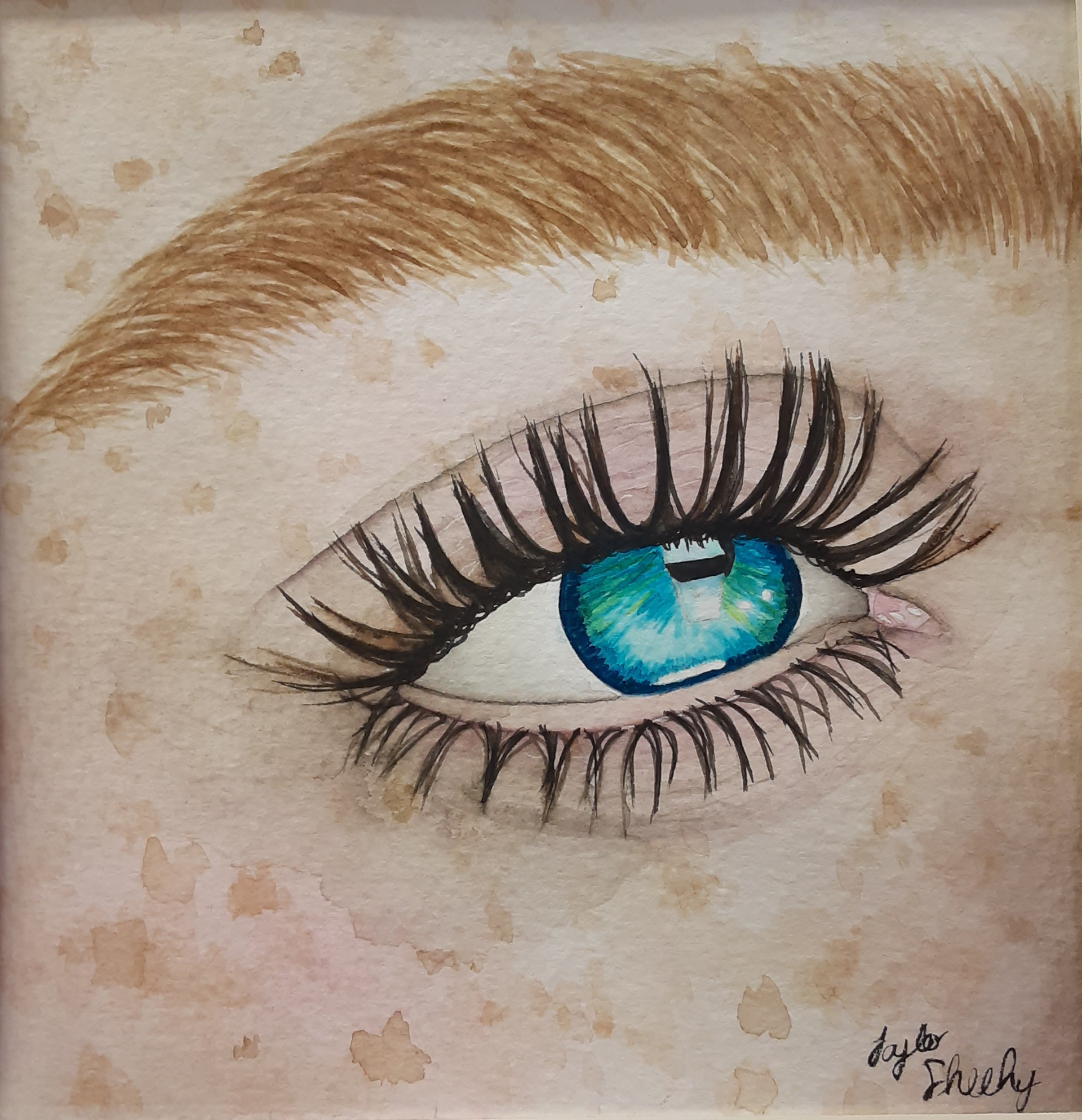 Wonderer by Taylor Sheehy