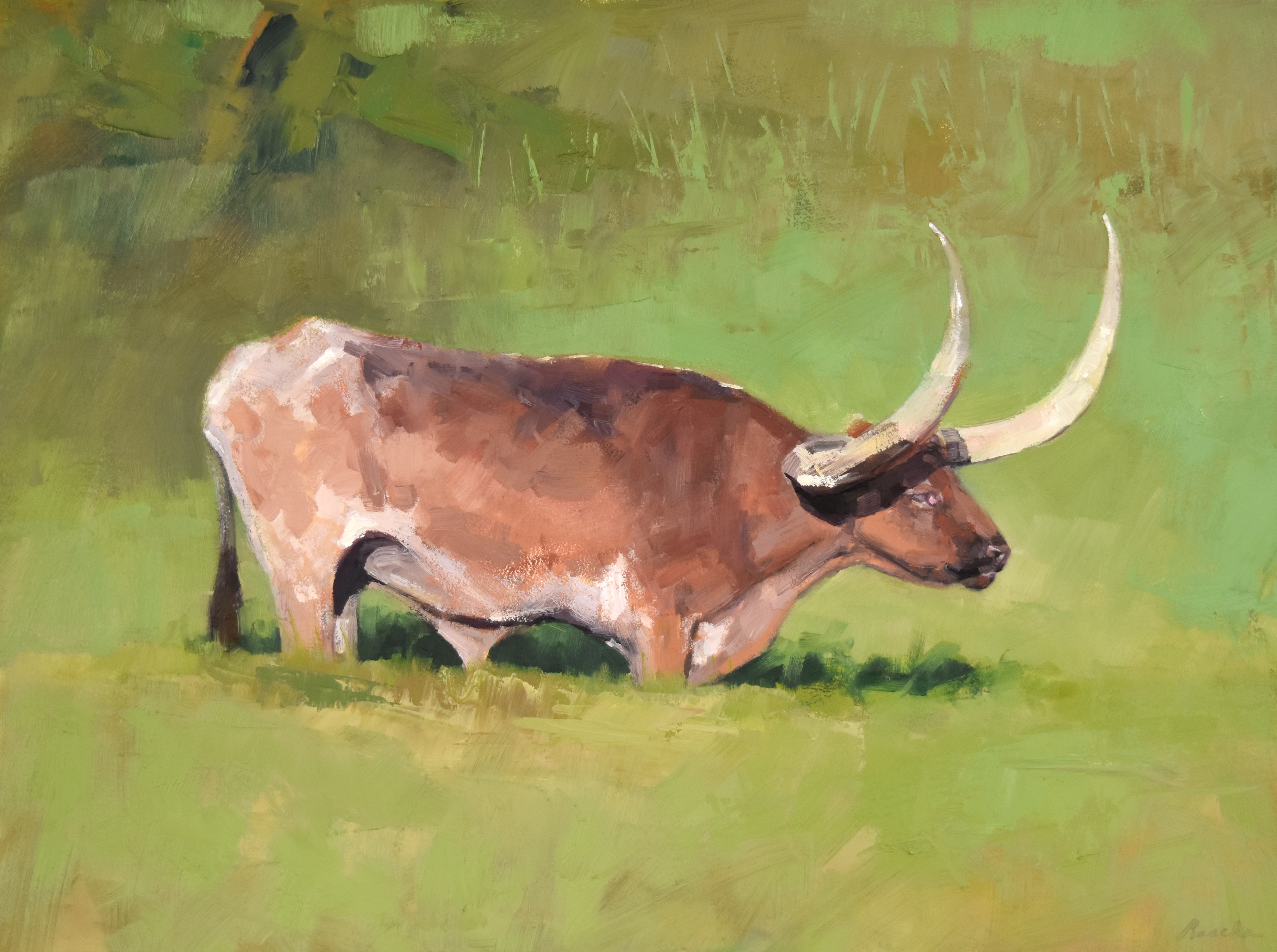 Custer Lonhorn