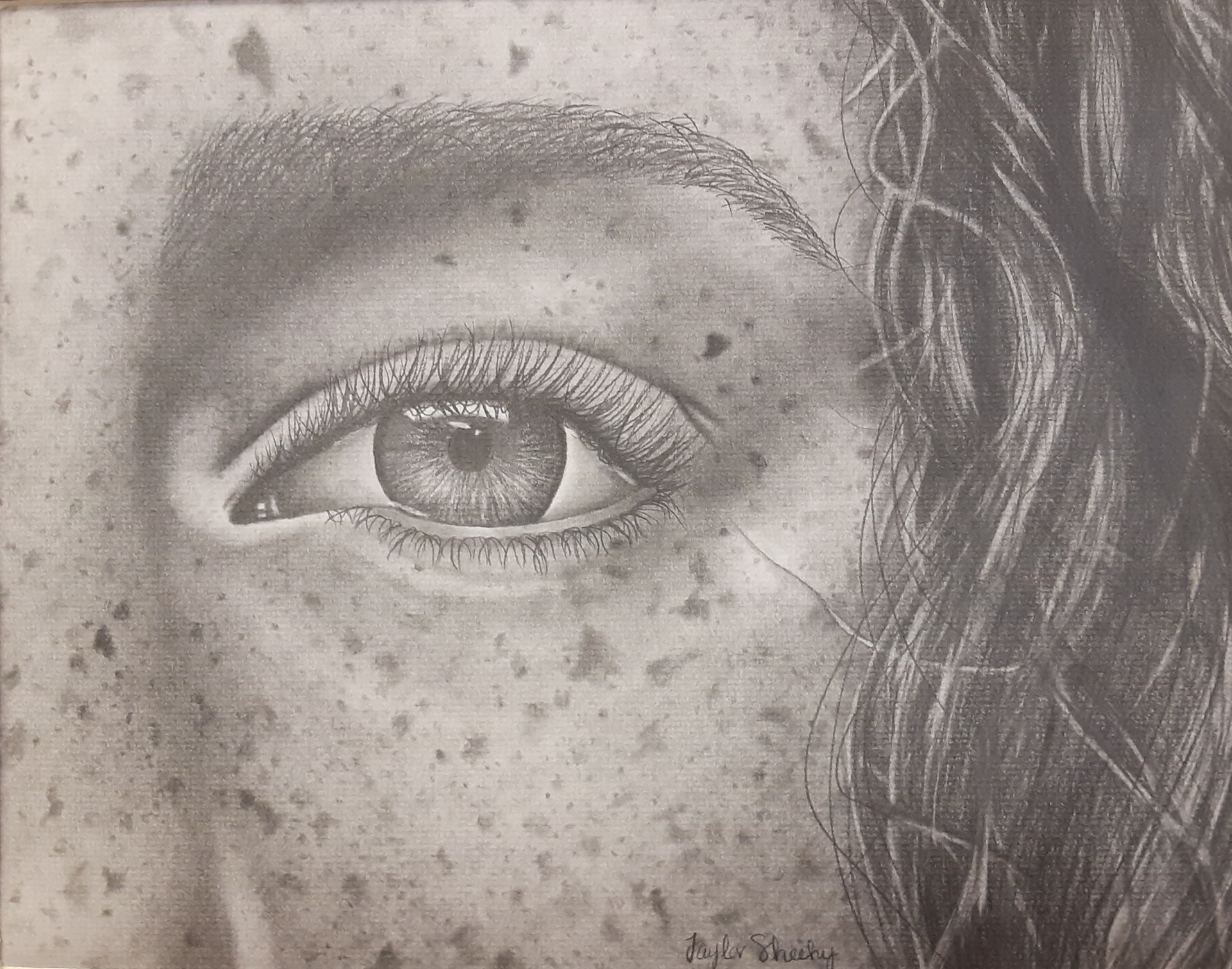 Through My Eye by Taylor Sheehy