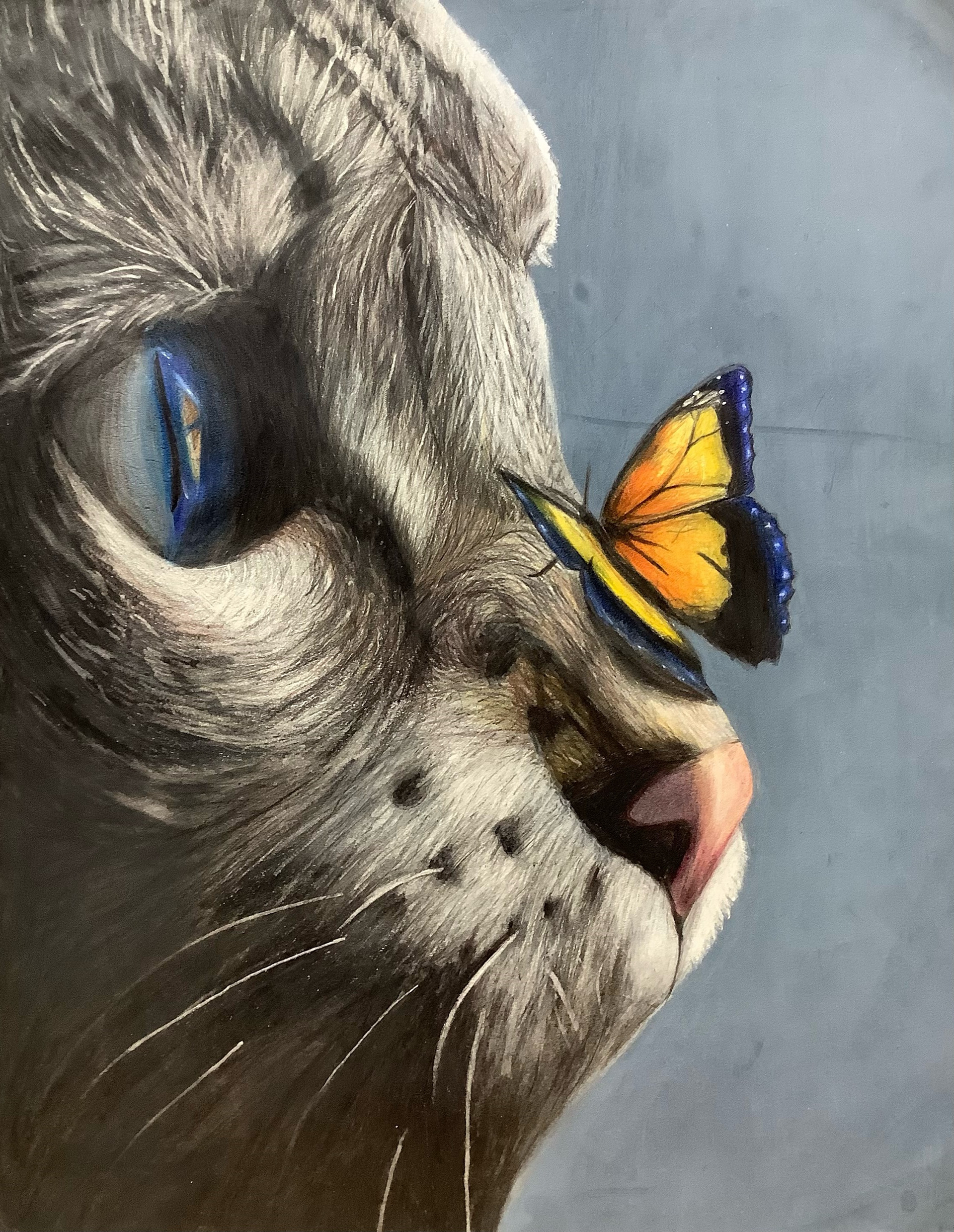 Delicate Beauty by Lydia Porter
