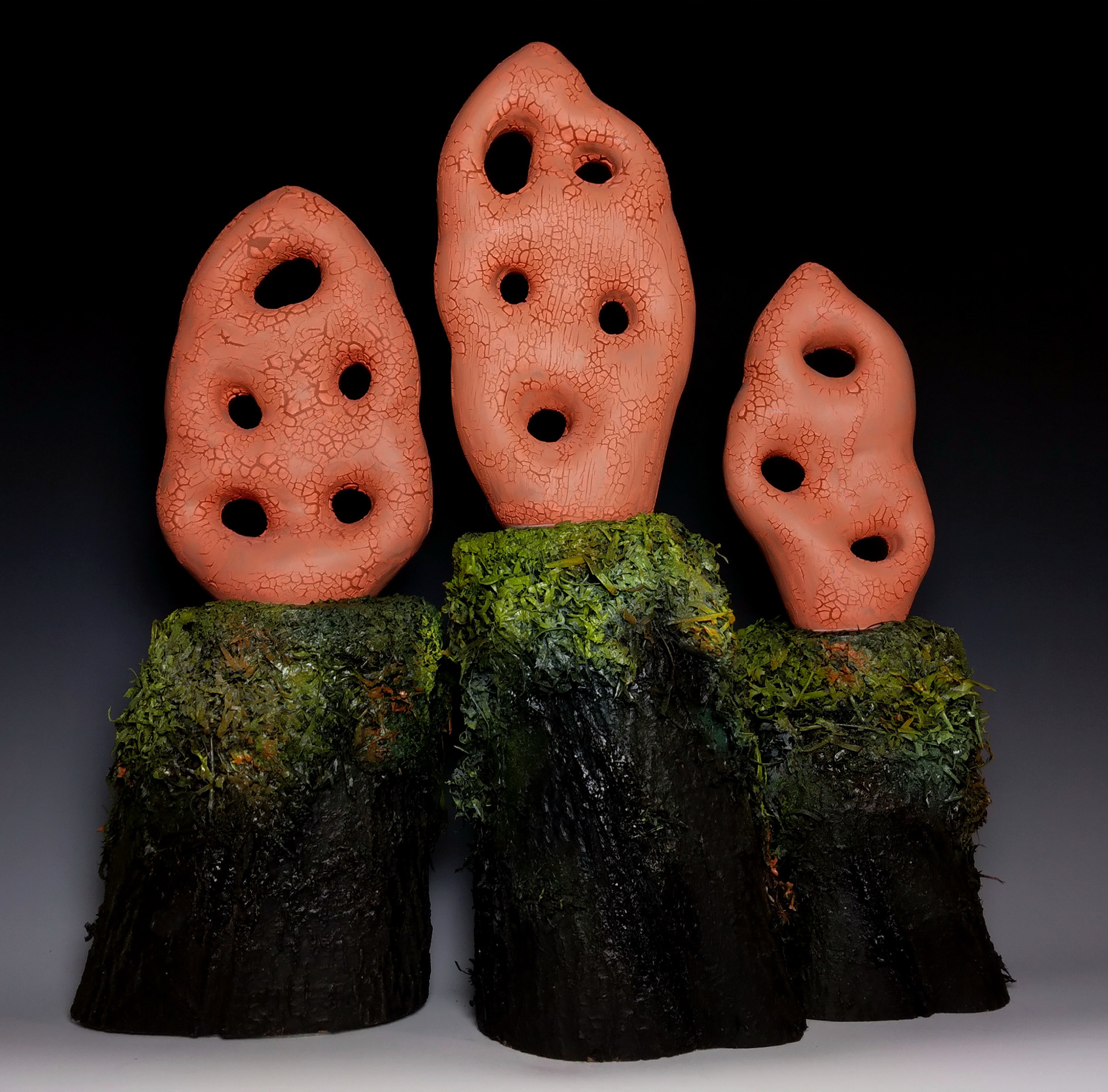 Aurantius Fungi