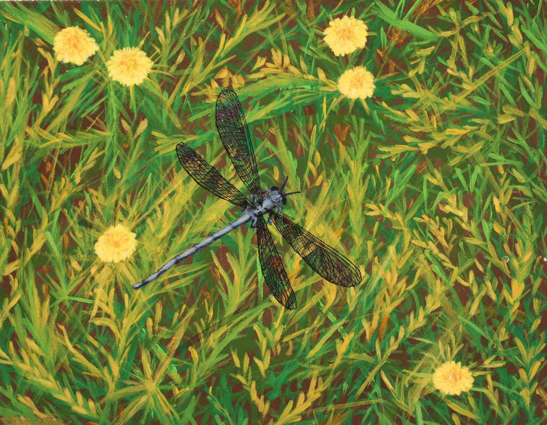 Periwinkle Manindenfly by Jennifer Pettay