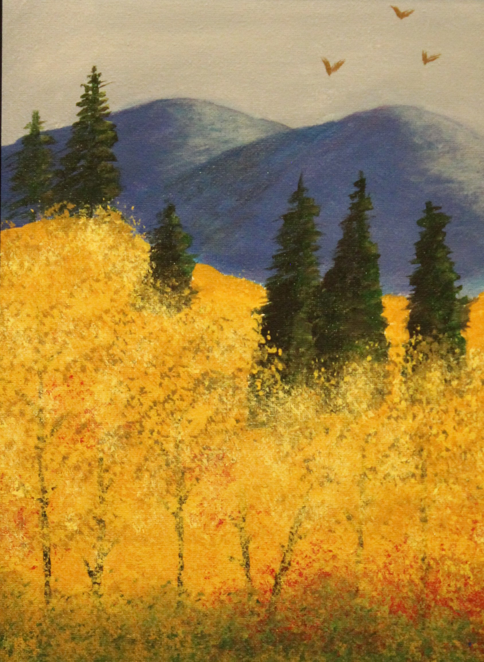 Rocky Mountain High by Nancy Schuetz