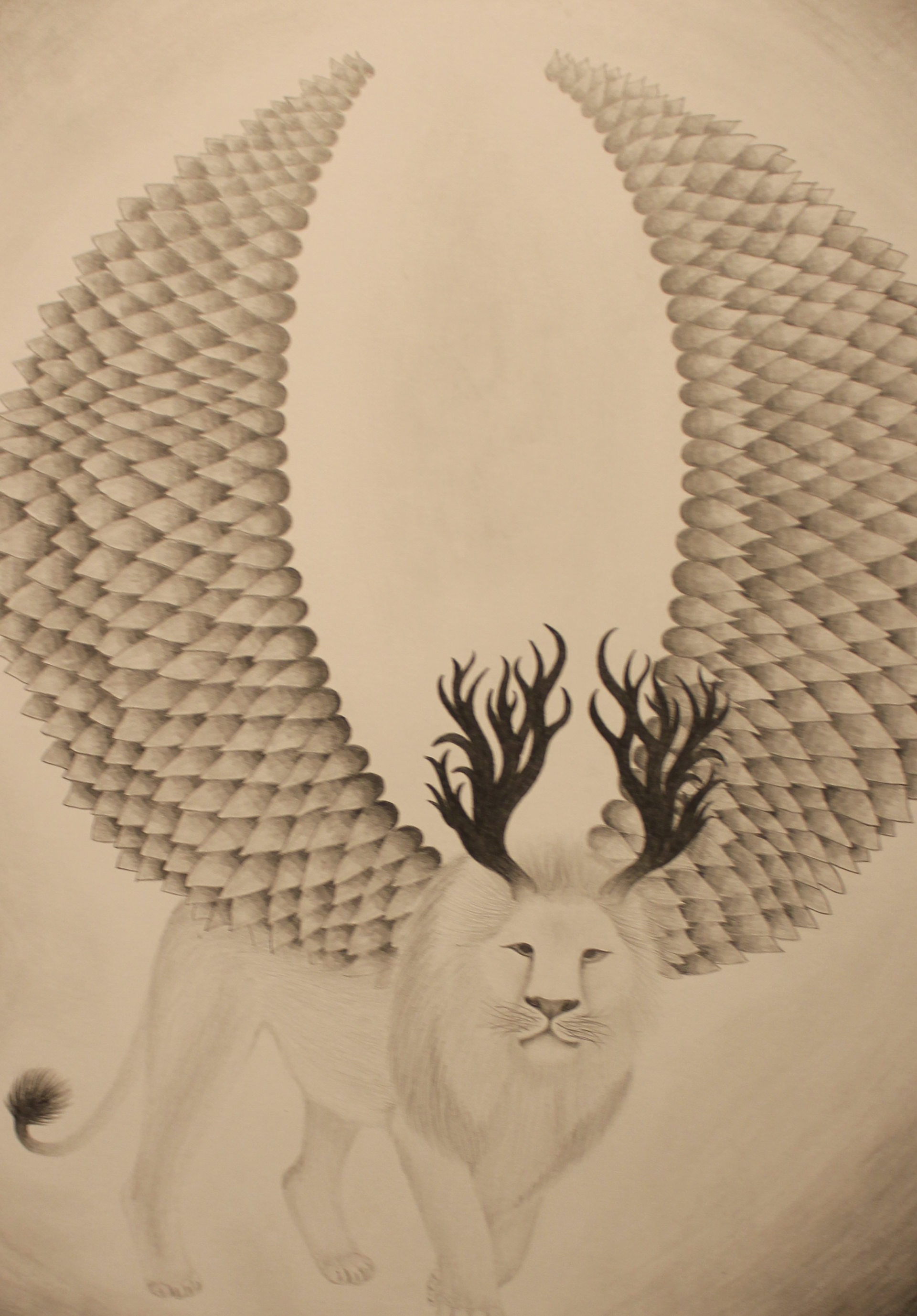 The King by Cassidy Goans