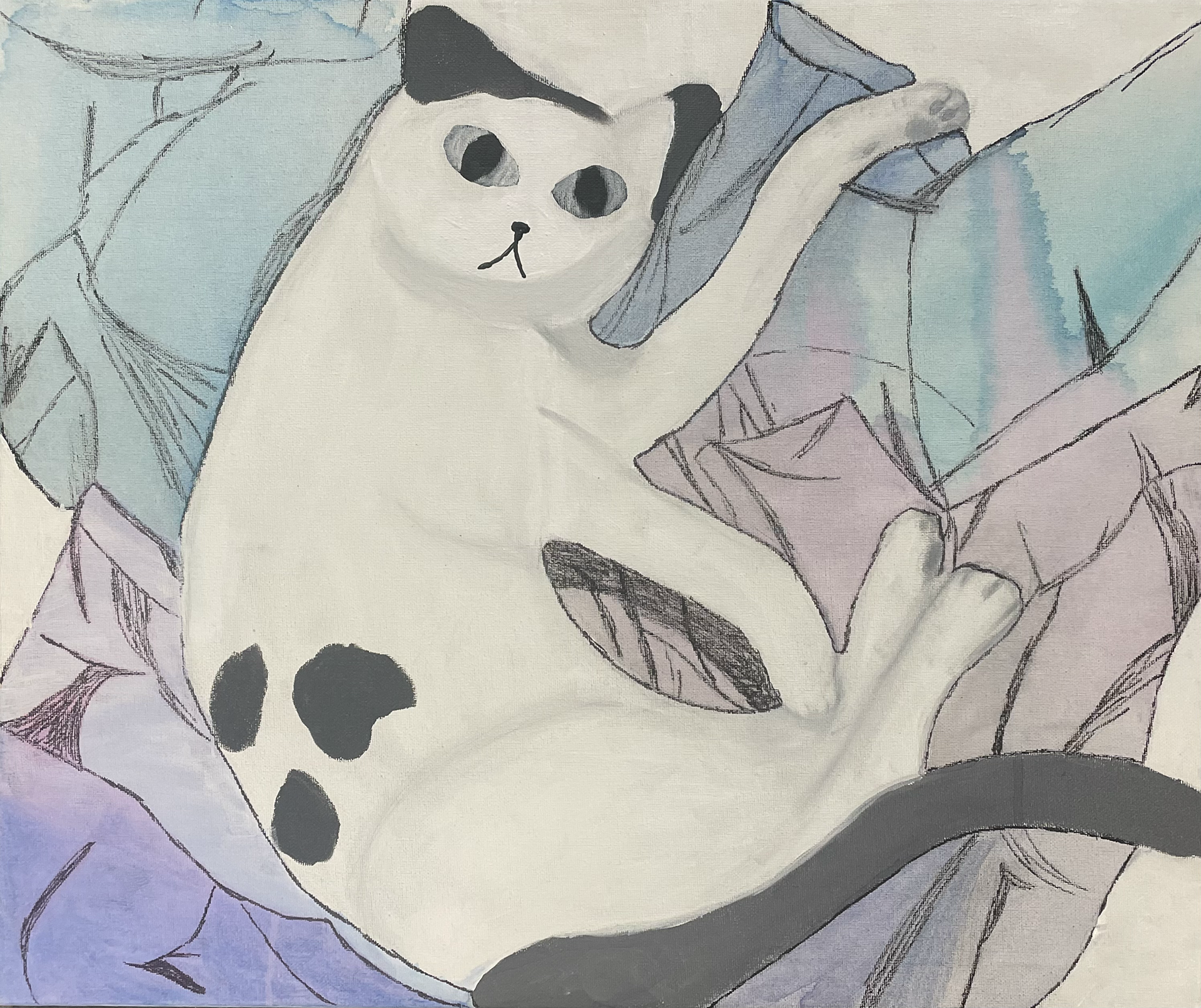 Spots by Taylor Boucher