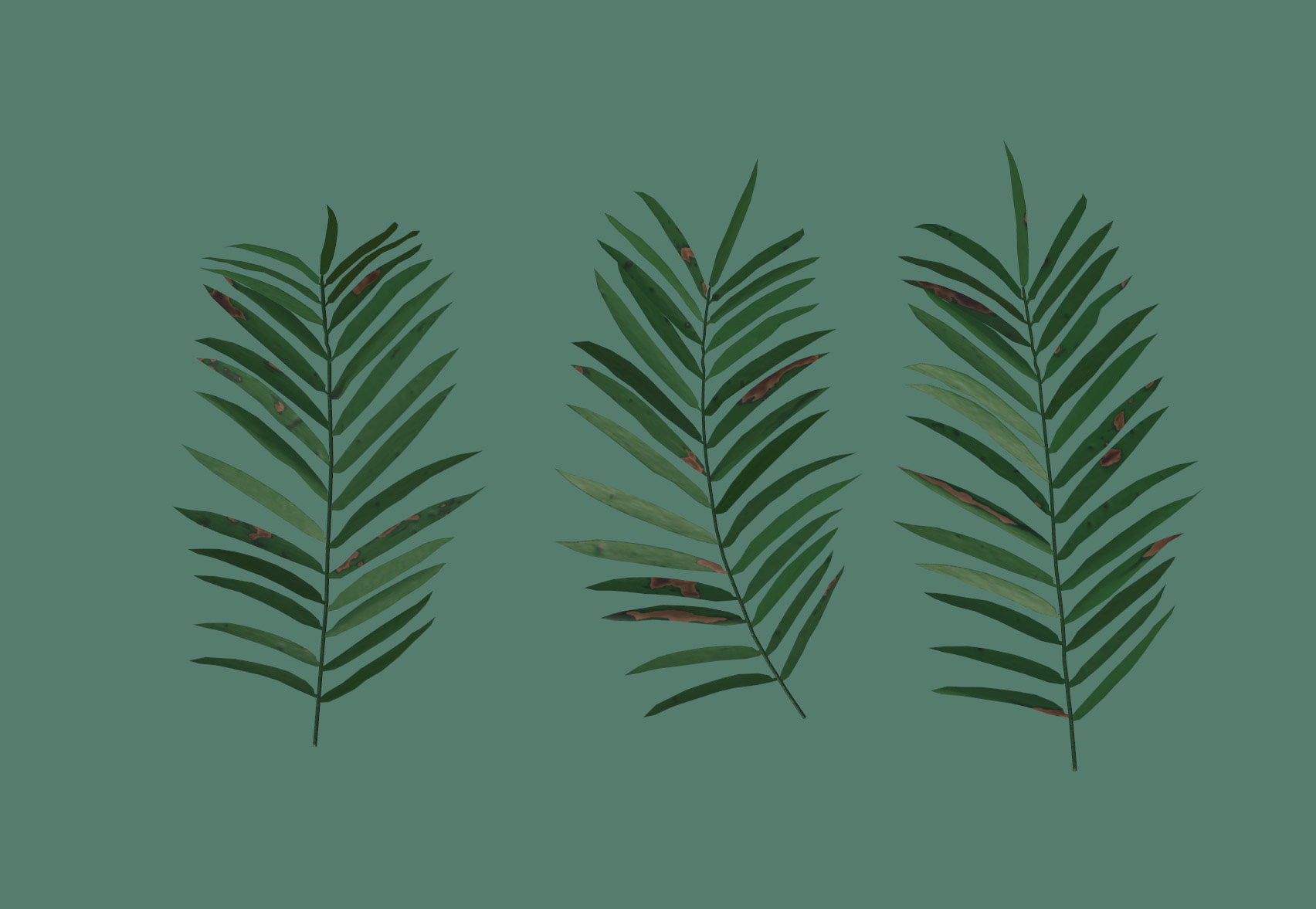 Plants