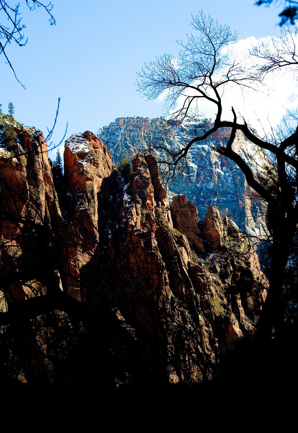Zion National Park, UT