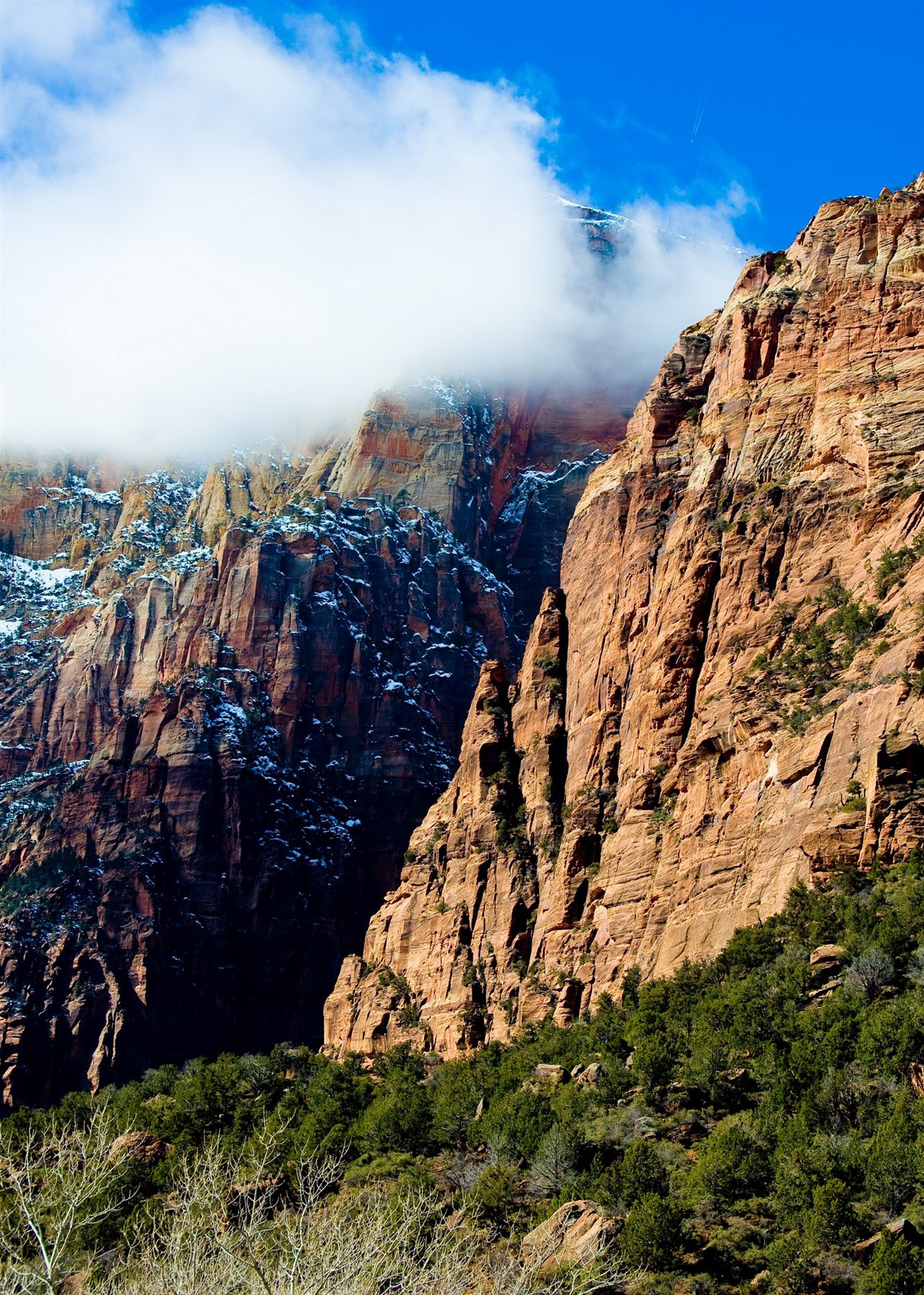 Zion National Park, UT