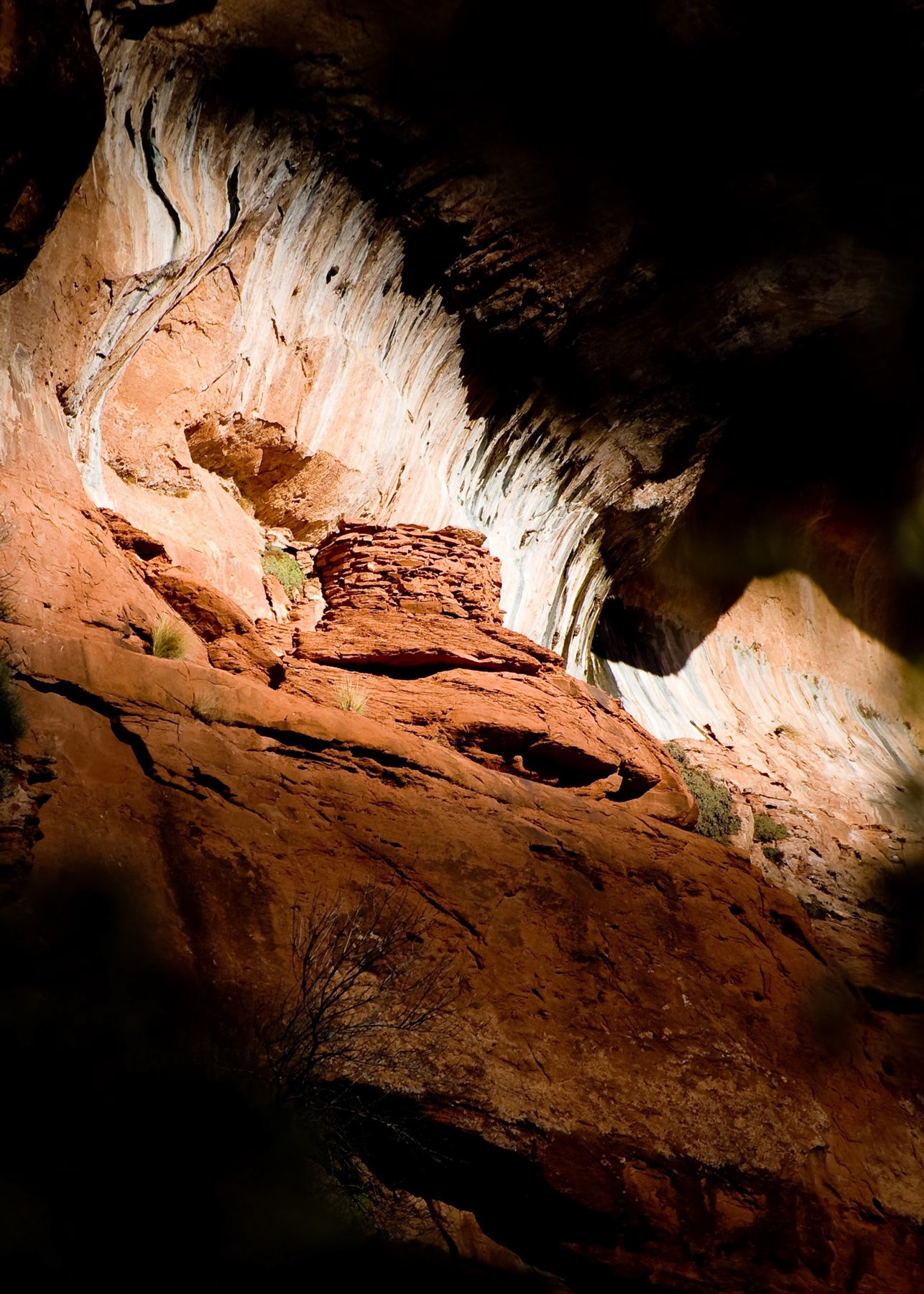 Zion National Park, UT