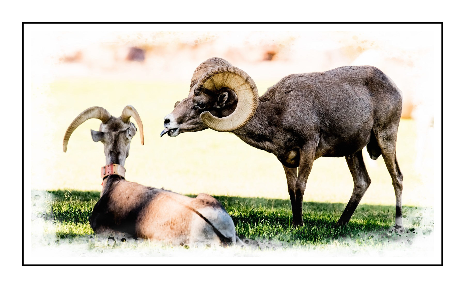 Hemenway Park, Boulder City, NV