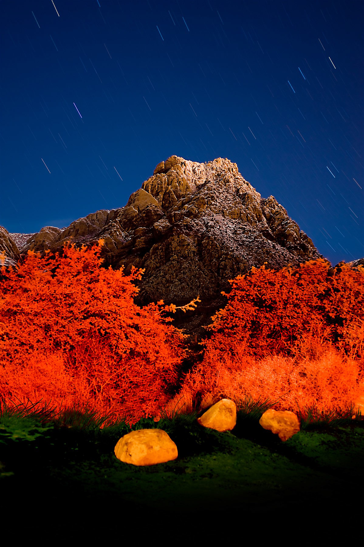 Bonnie Springs Ranch, Las Vegas, NV