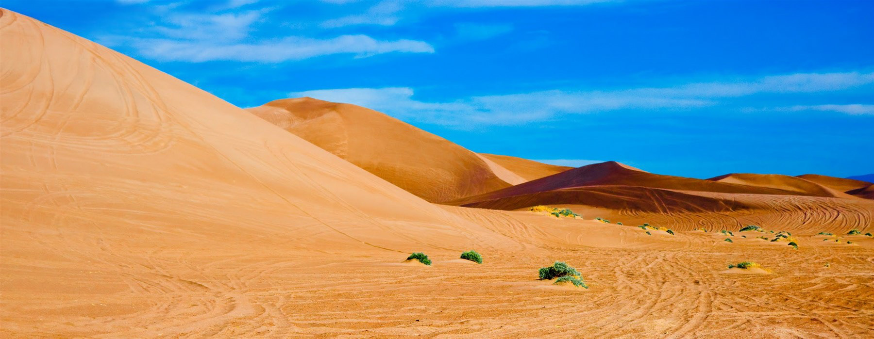 The BIG DUNE, NV