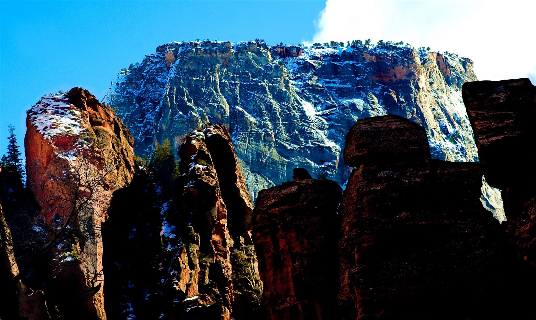 Zion National Park, UT