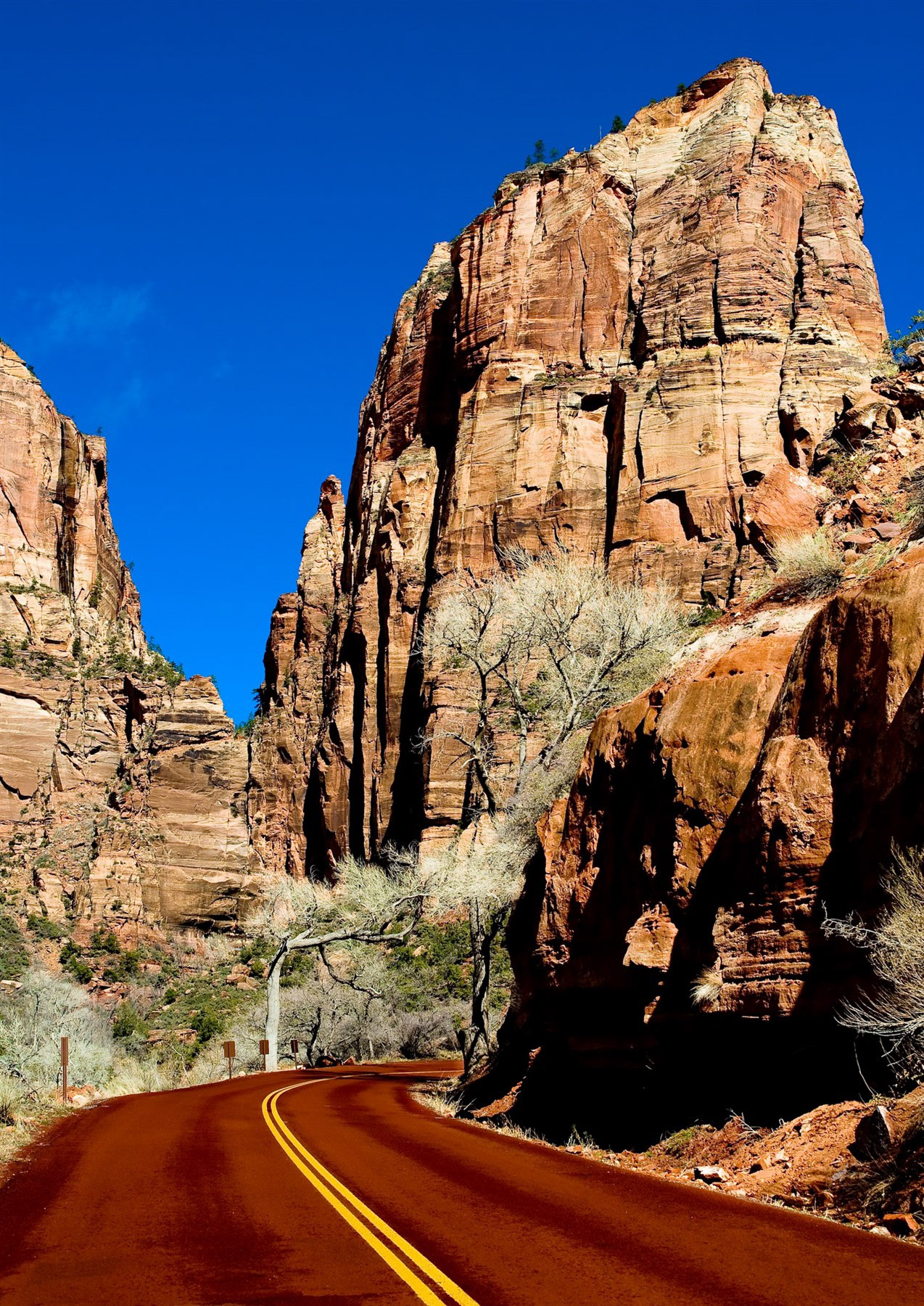 Zion National Park, UT