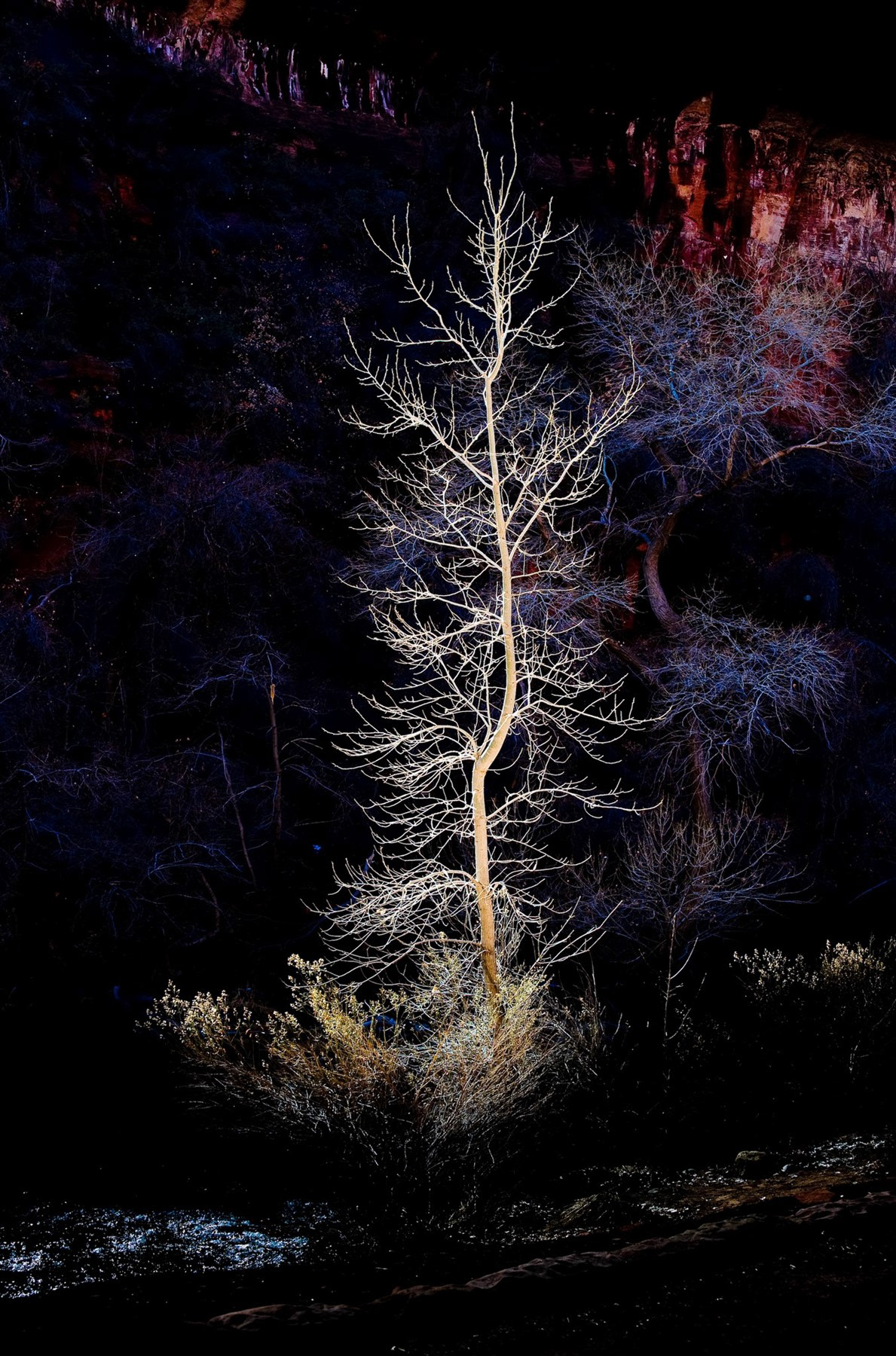 Zion National Park, UT