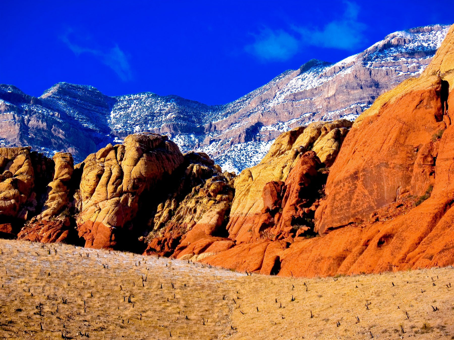 Red Rock Conservation Area, Las Vegas, NV