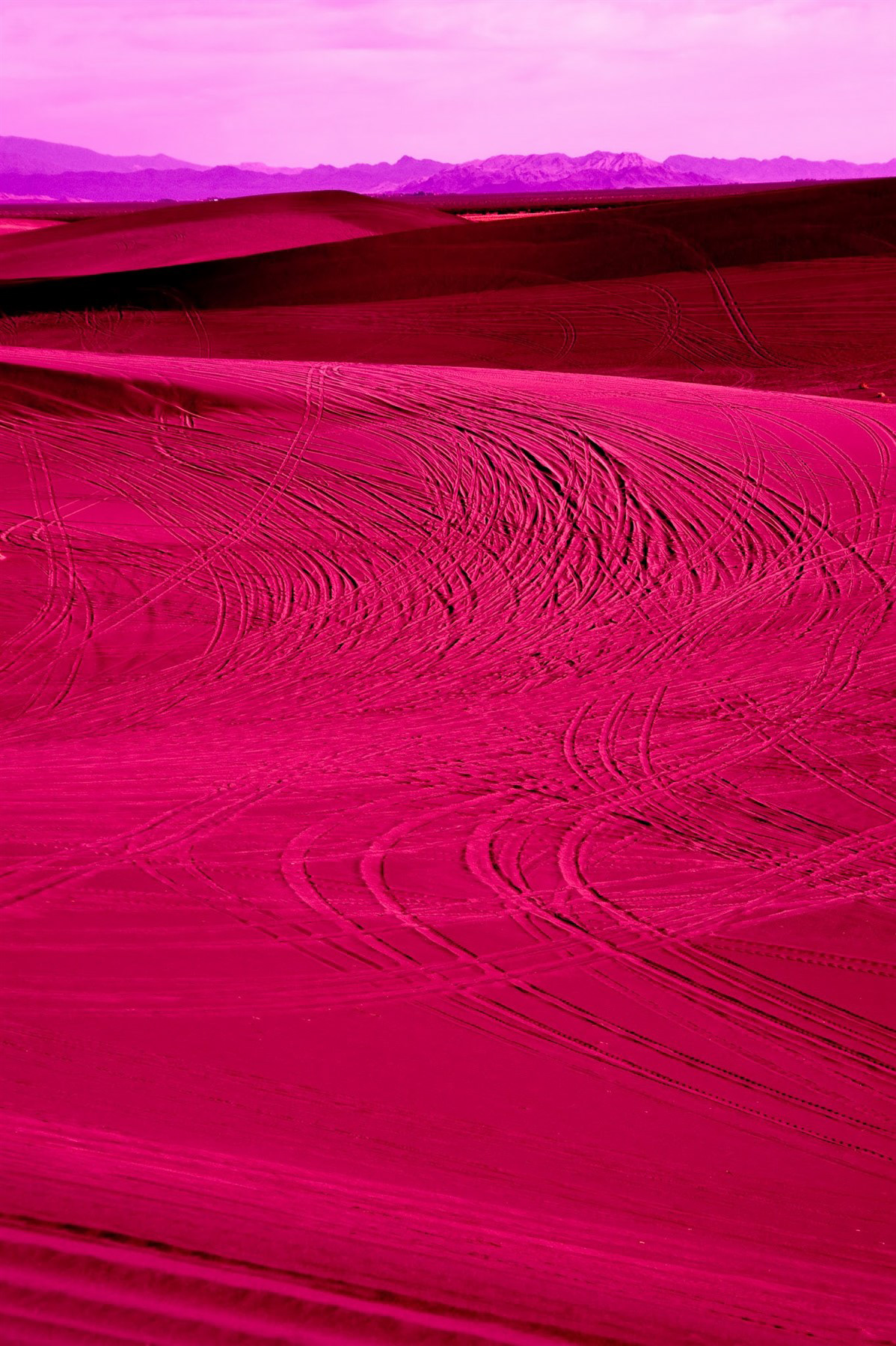 The BIG DUNE, NV