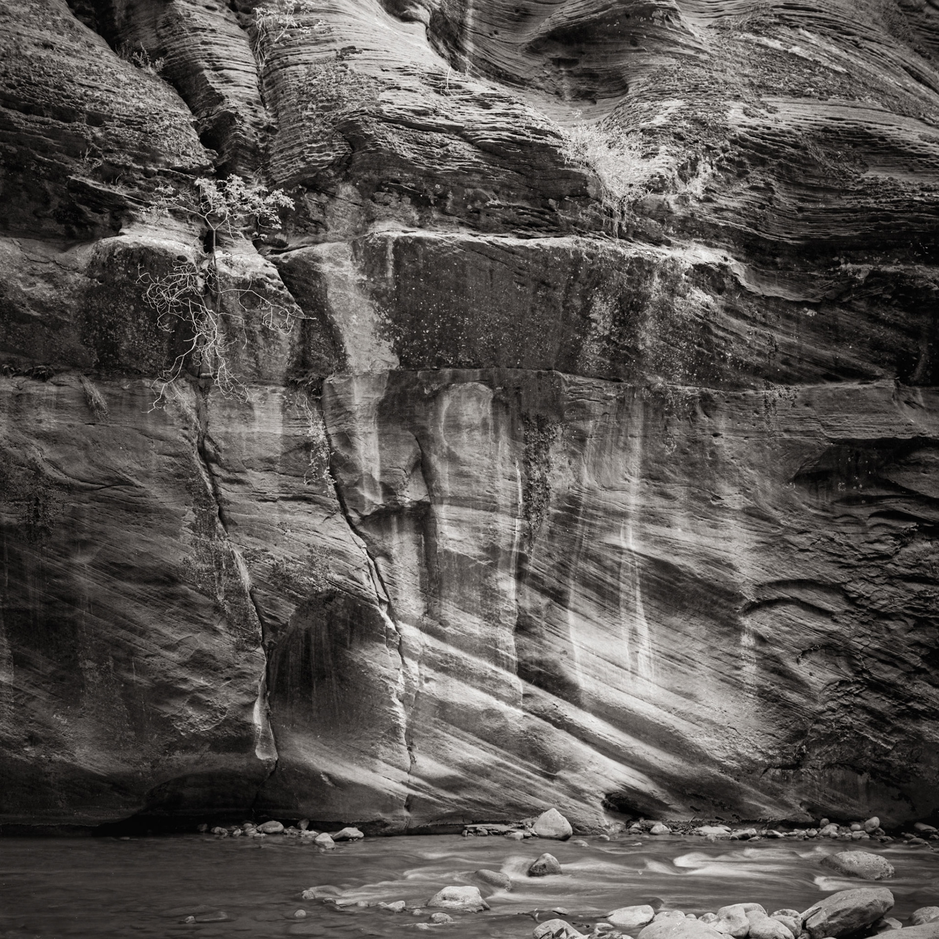 Canyon wall, Zion, 1989.