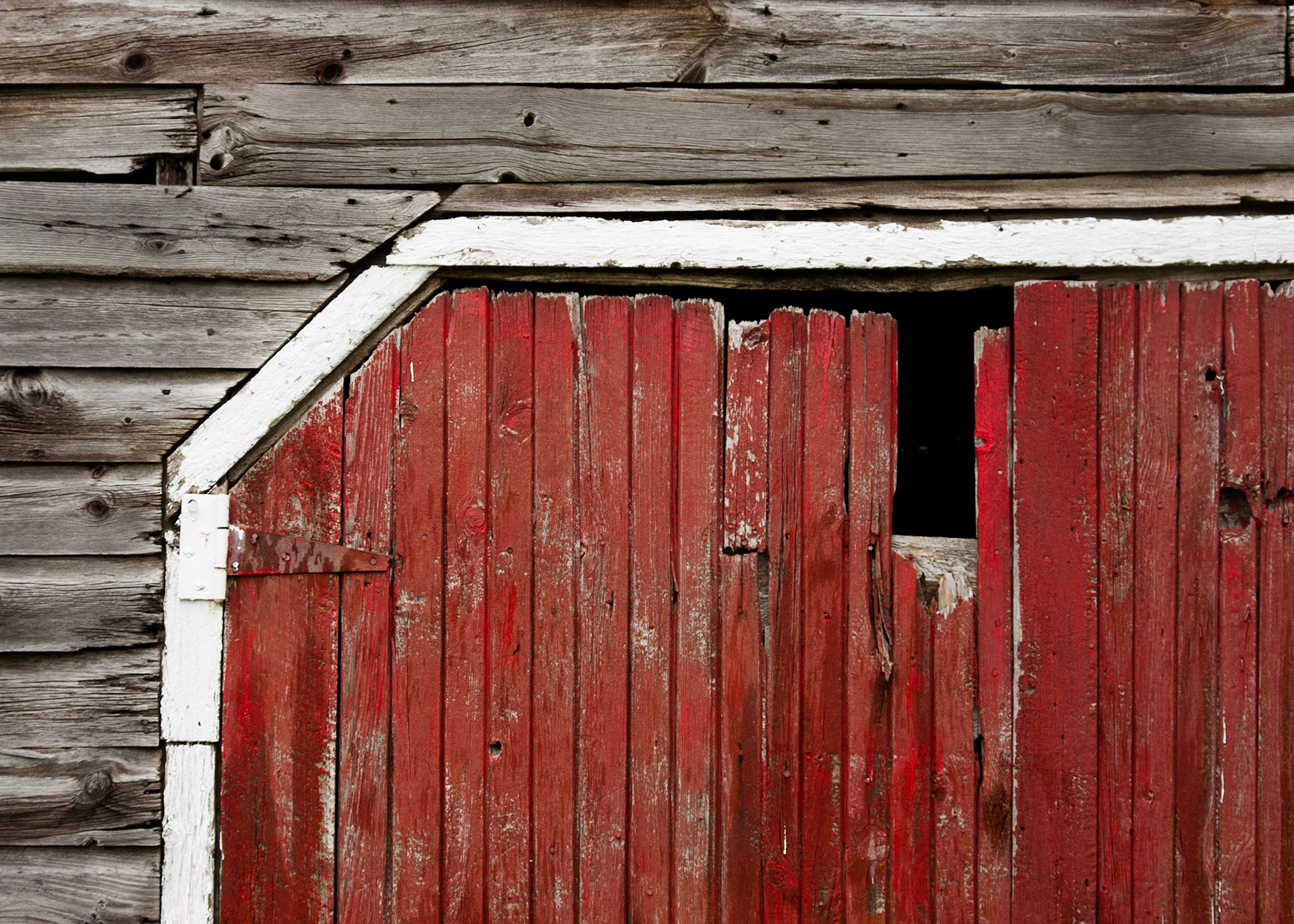 Shed door, near Roseneath